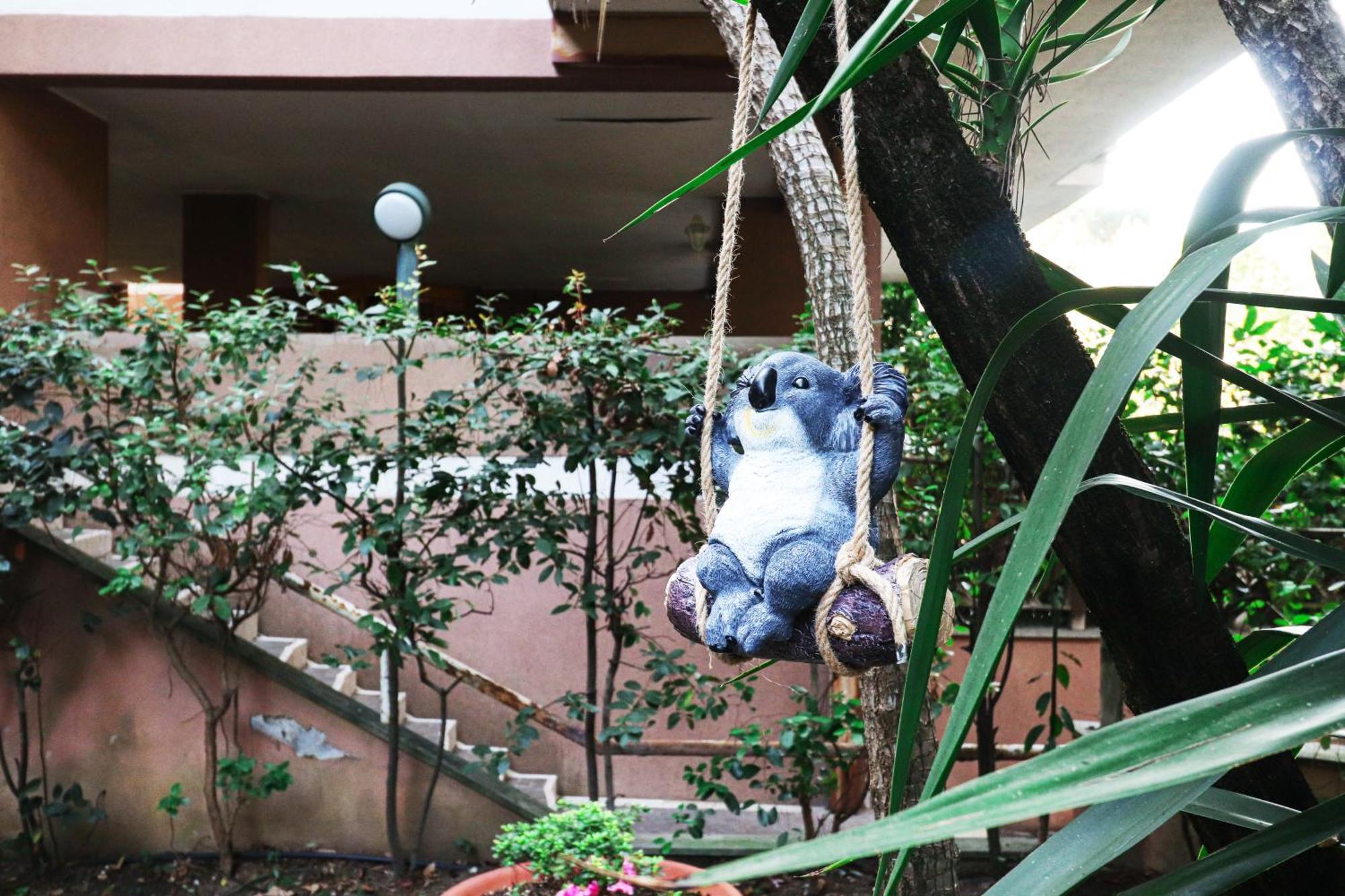 Casa Del Koala Al Gemelli Hospital Appartamento Roma