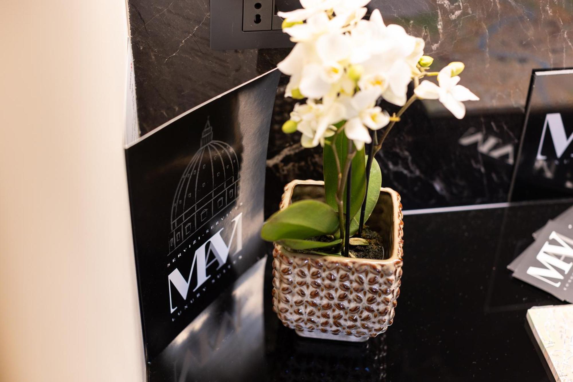Alojamento de Acomodação e Pequeno-almoço Mavi Luxury Roma