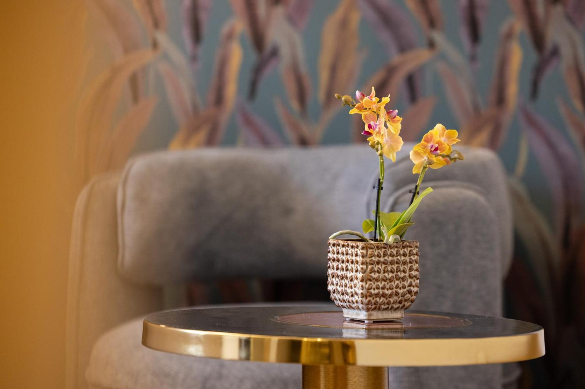 Mavi Luxury Alojamento de Acomodação e Pequeno-almoço