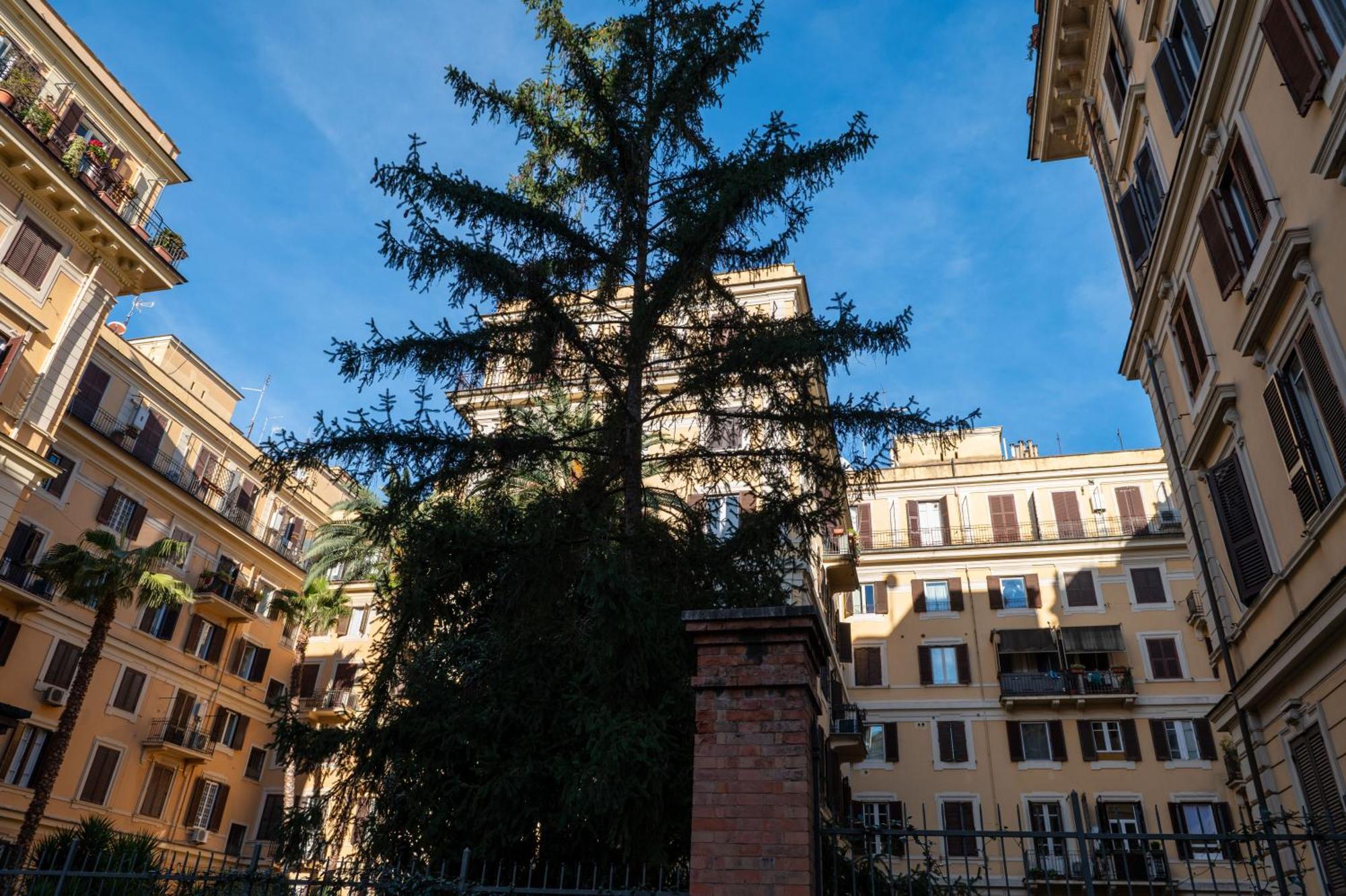 Appartamento Borghese Design *