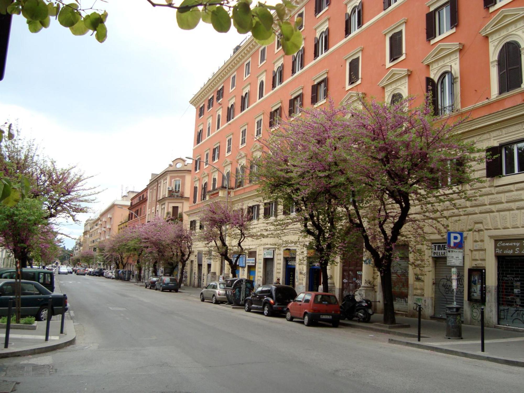 Mamomi House * Roma