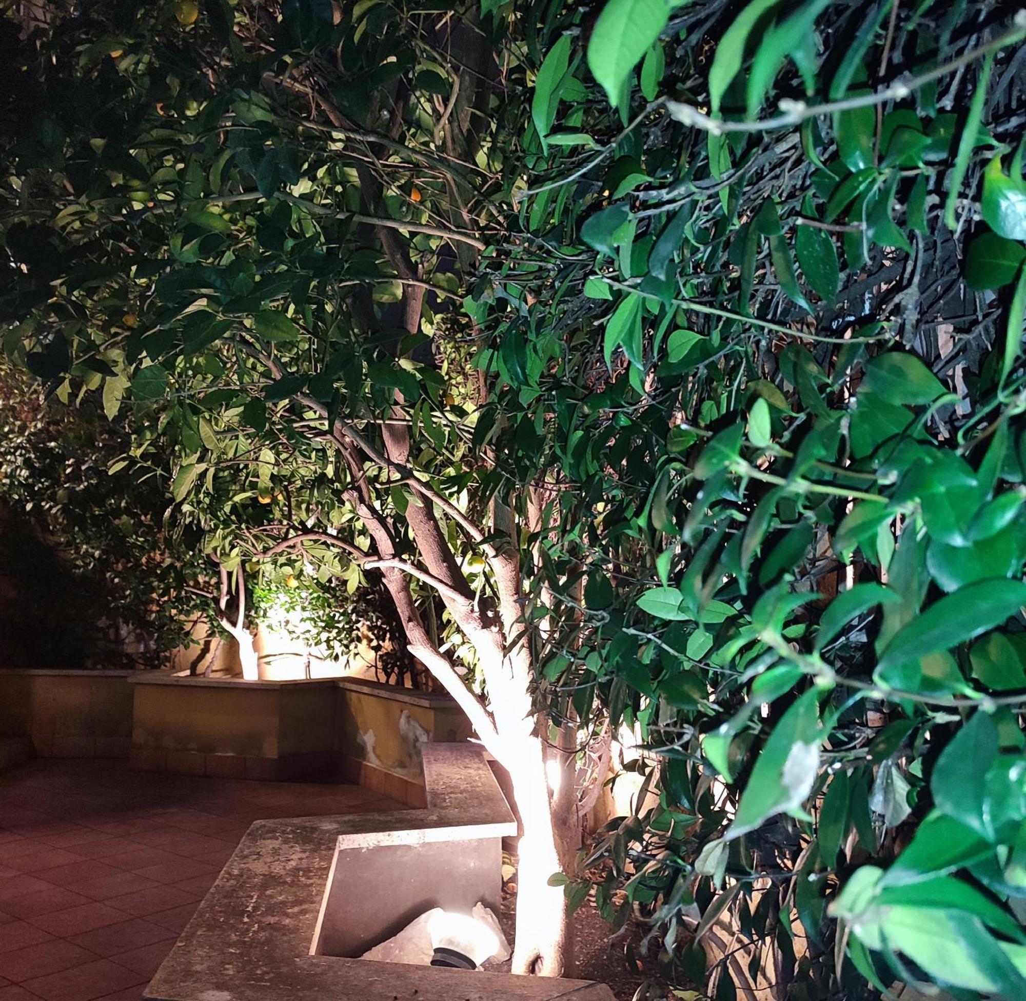 Casa Cartoni Appartamento Roma