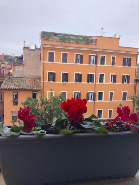 Appartamento Ultimopiano Roma