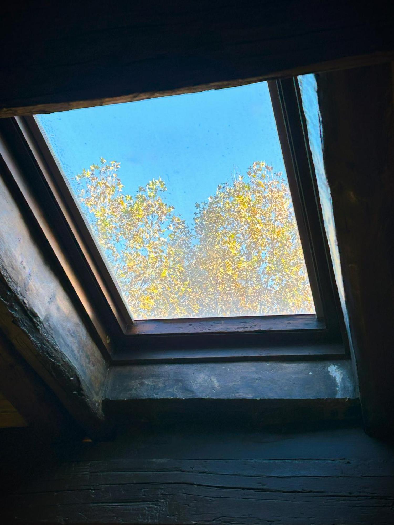Apartamento The Gem - Trastevere Cozy Retreat With Pool *