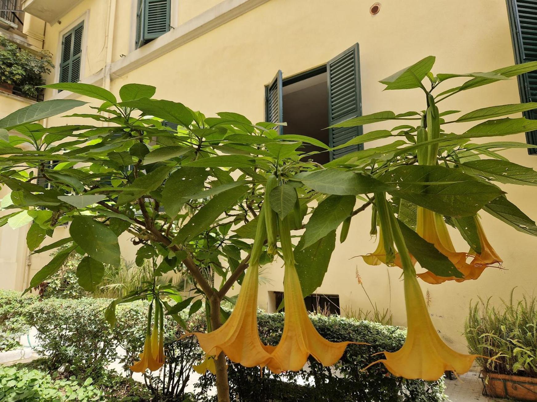 Borsieri Apartamento Roma