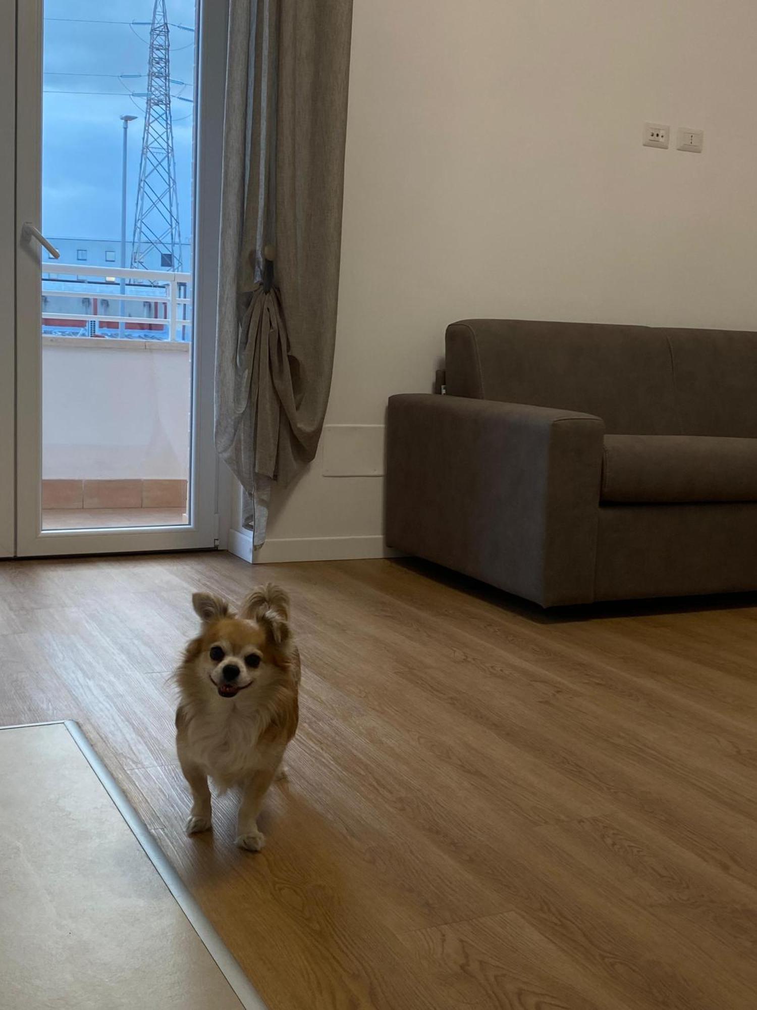 Dolcesogno Apartamento *