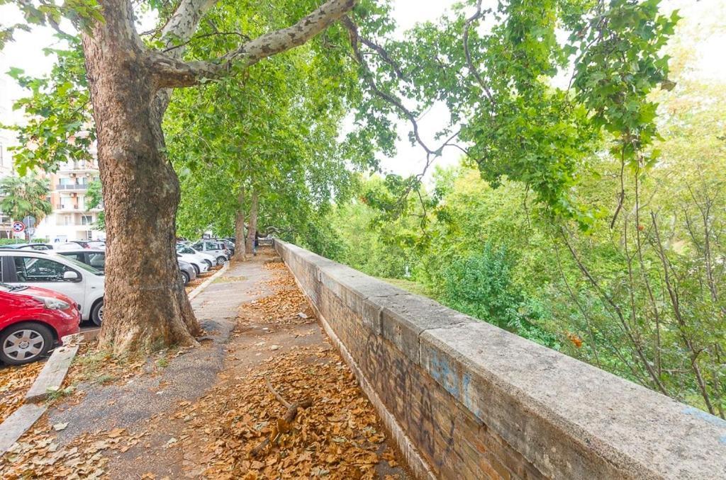 Lungotevere Apartamento *