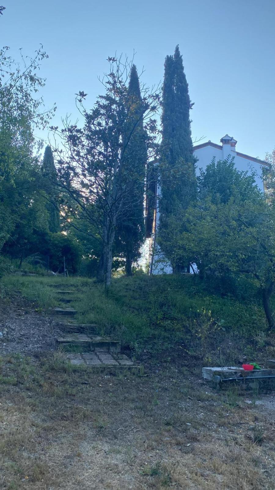 Casale Monte Oliviero Bed & Breakfast *