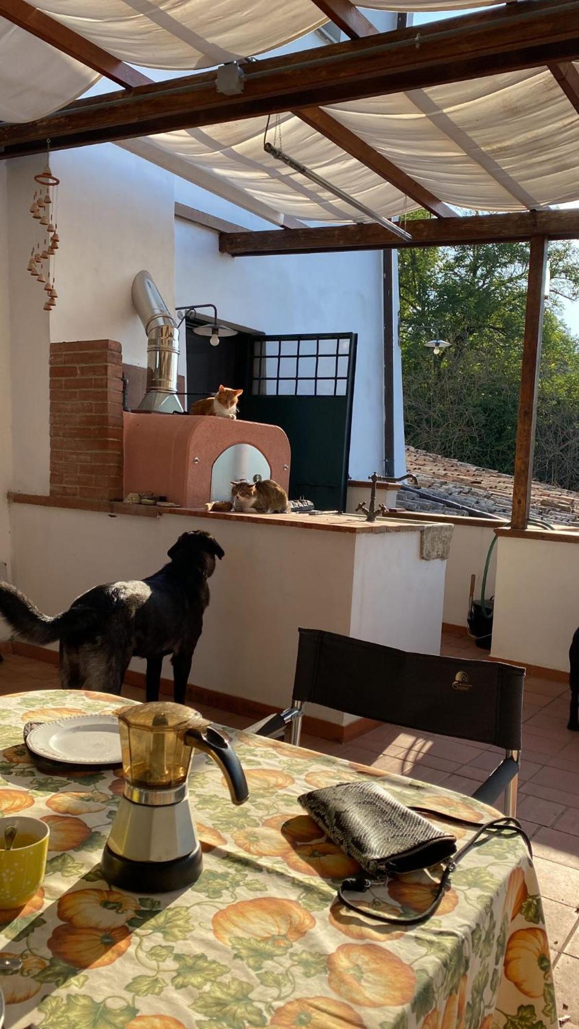 Casale Monte Oliviero *