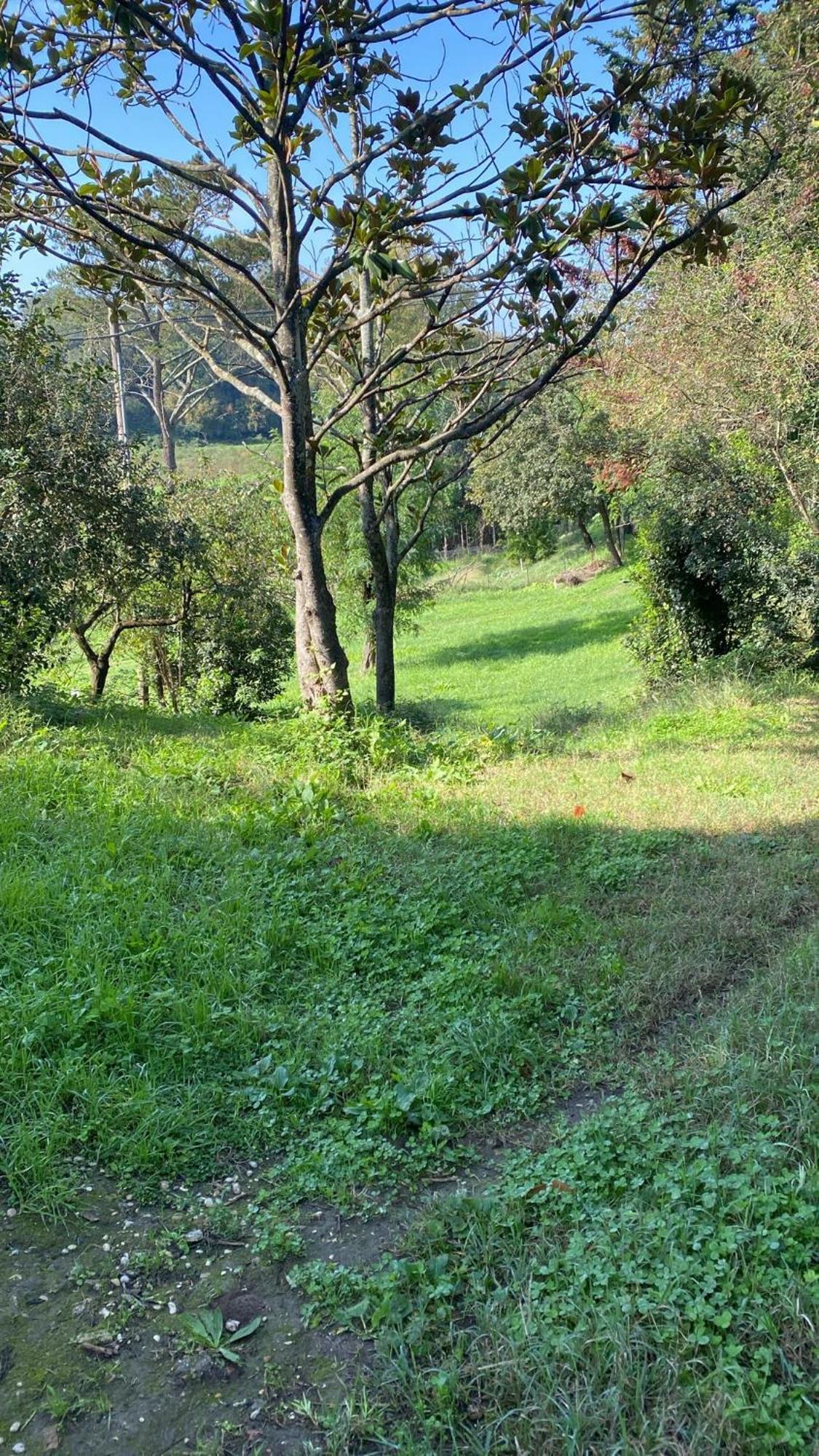 Casale Monte Oliviero