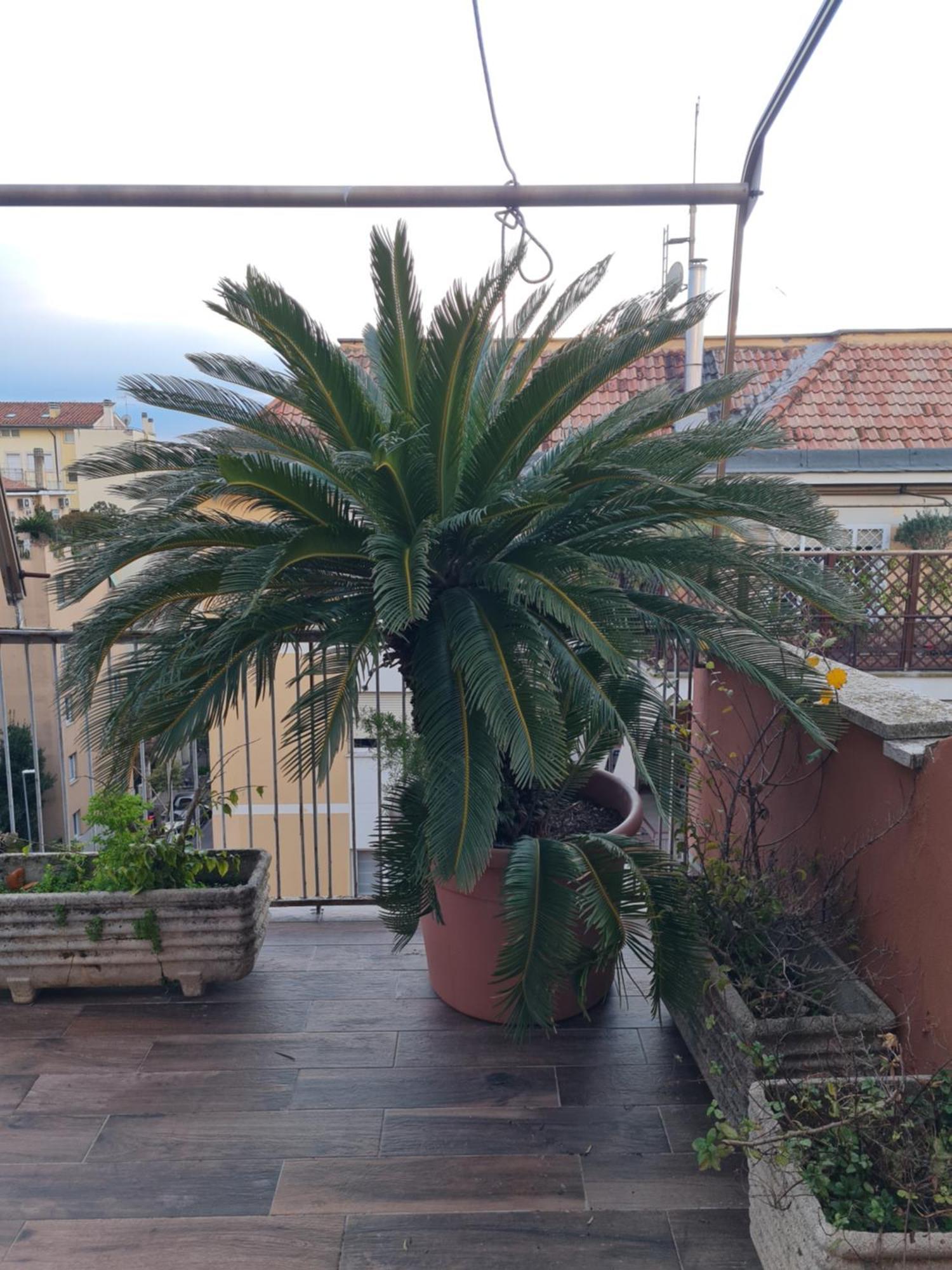 Appartamento La Terrazza Su *