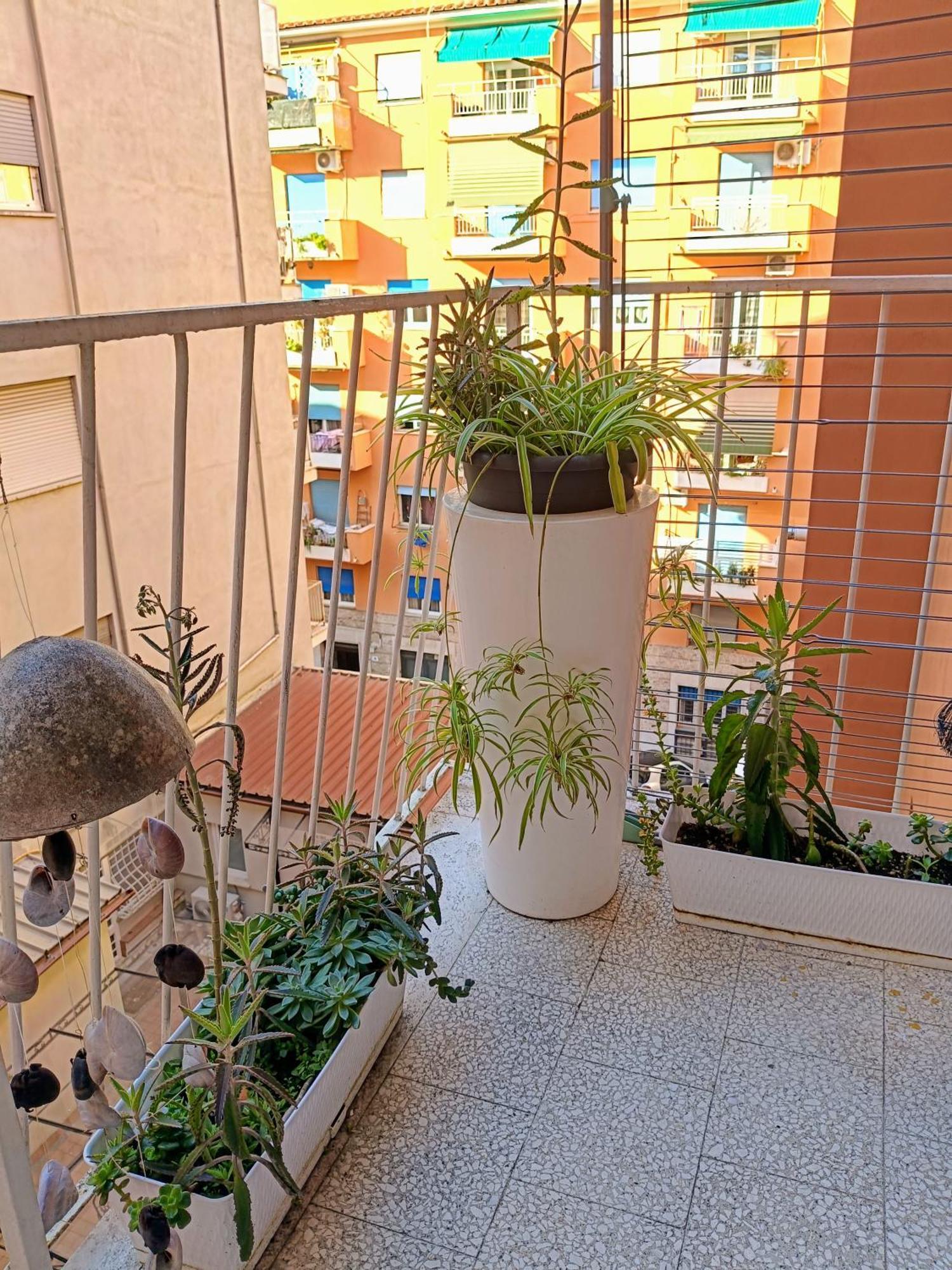 Apartamento Un Angolo Di Oriente A Due Passi Da San Pietro Roma