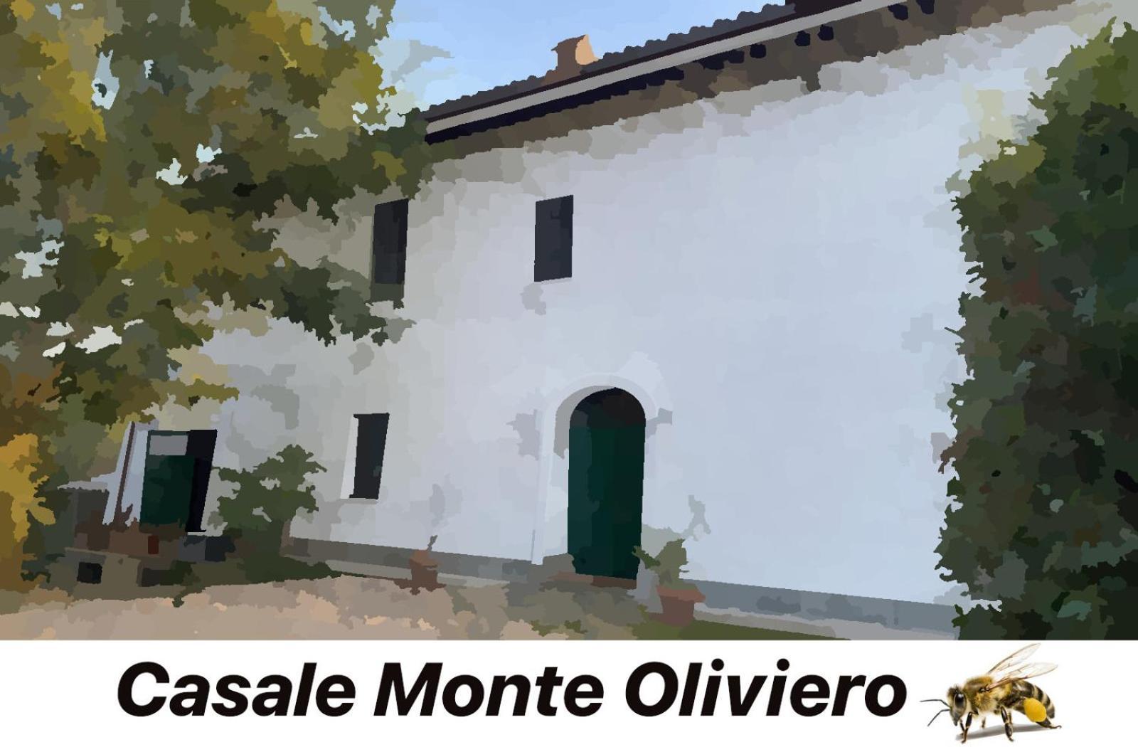 Bed & Breakfast Casale Monte Oliviero *