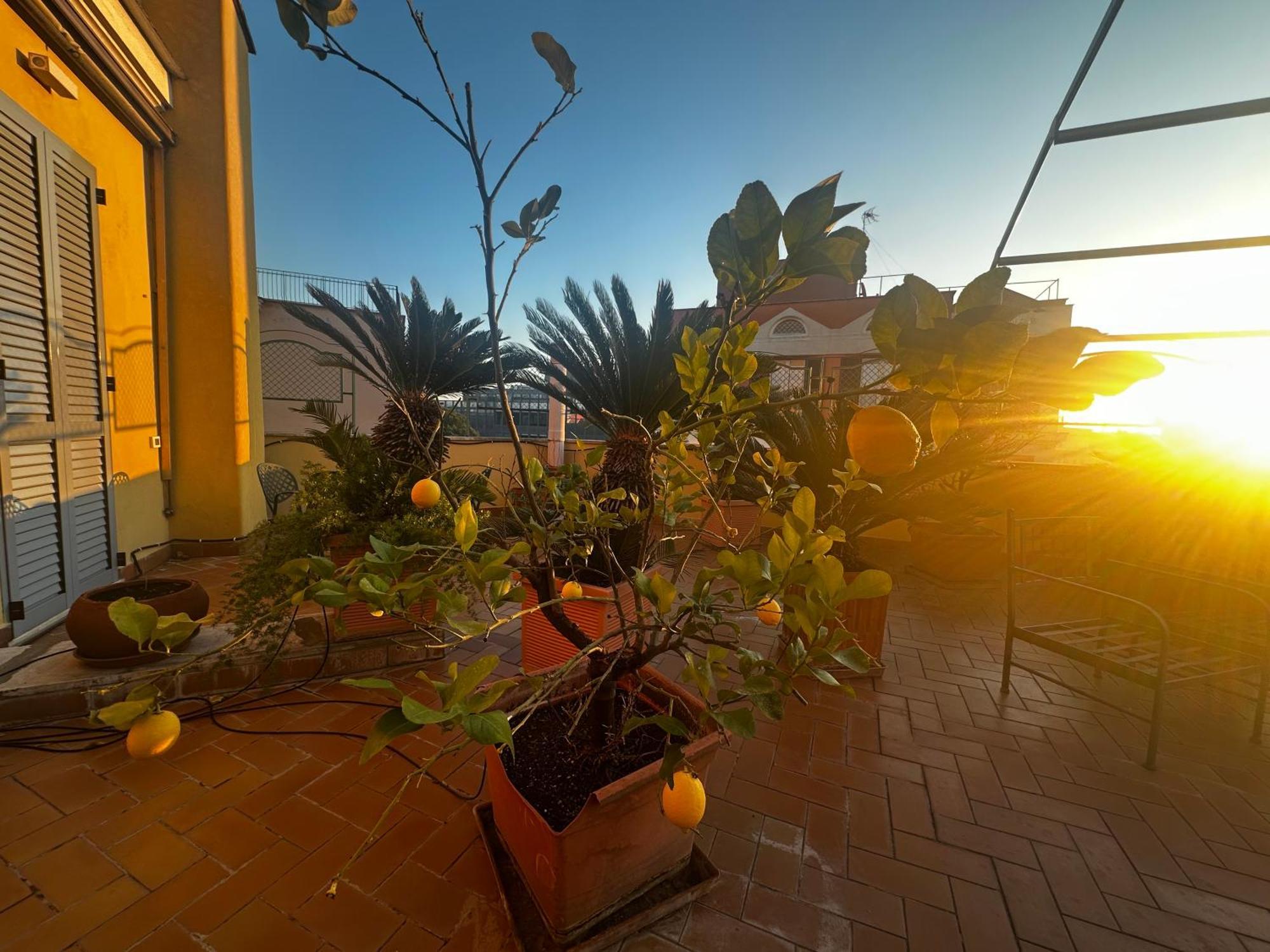 Comfort Astoria Palace 3*