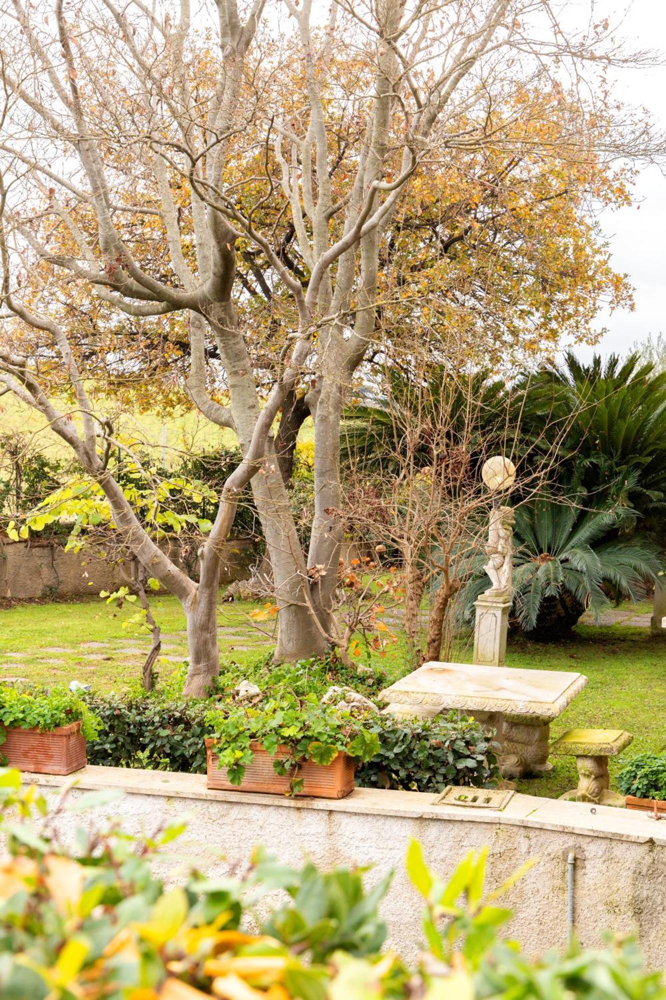 Tenuta Terenzi - Relais Appia Antica Roma