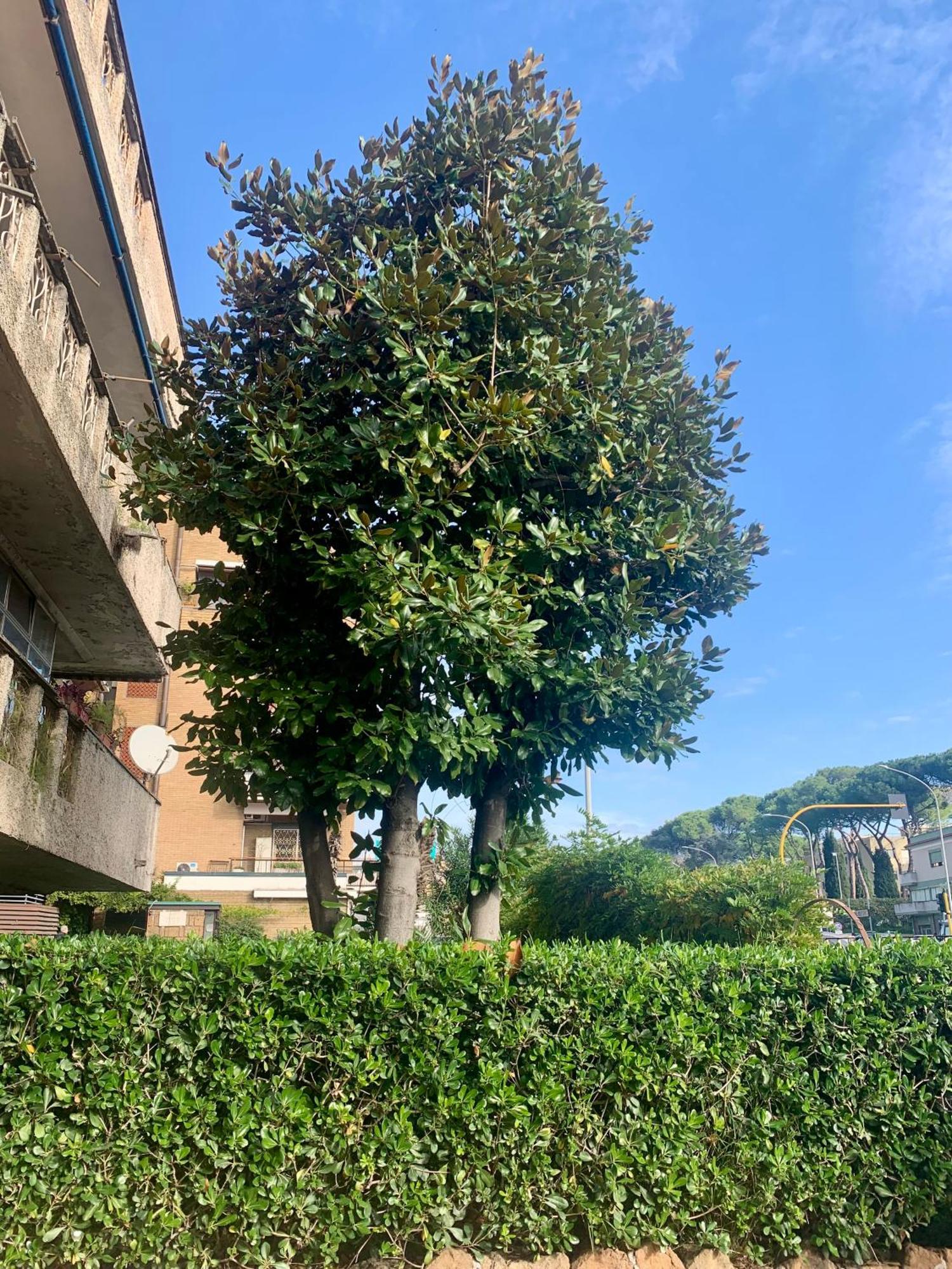 Apartamento Big Crire At 724
