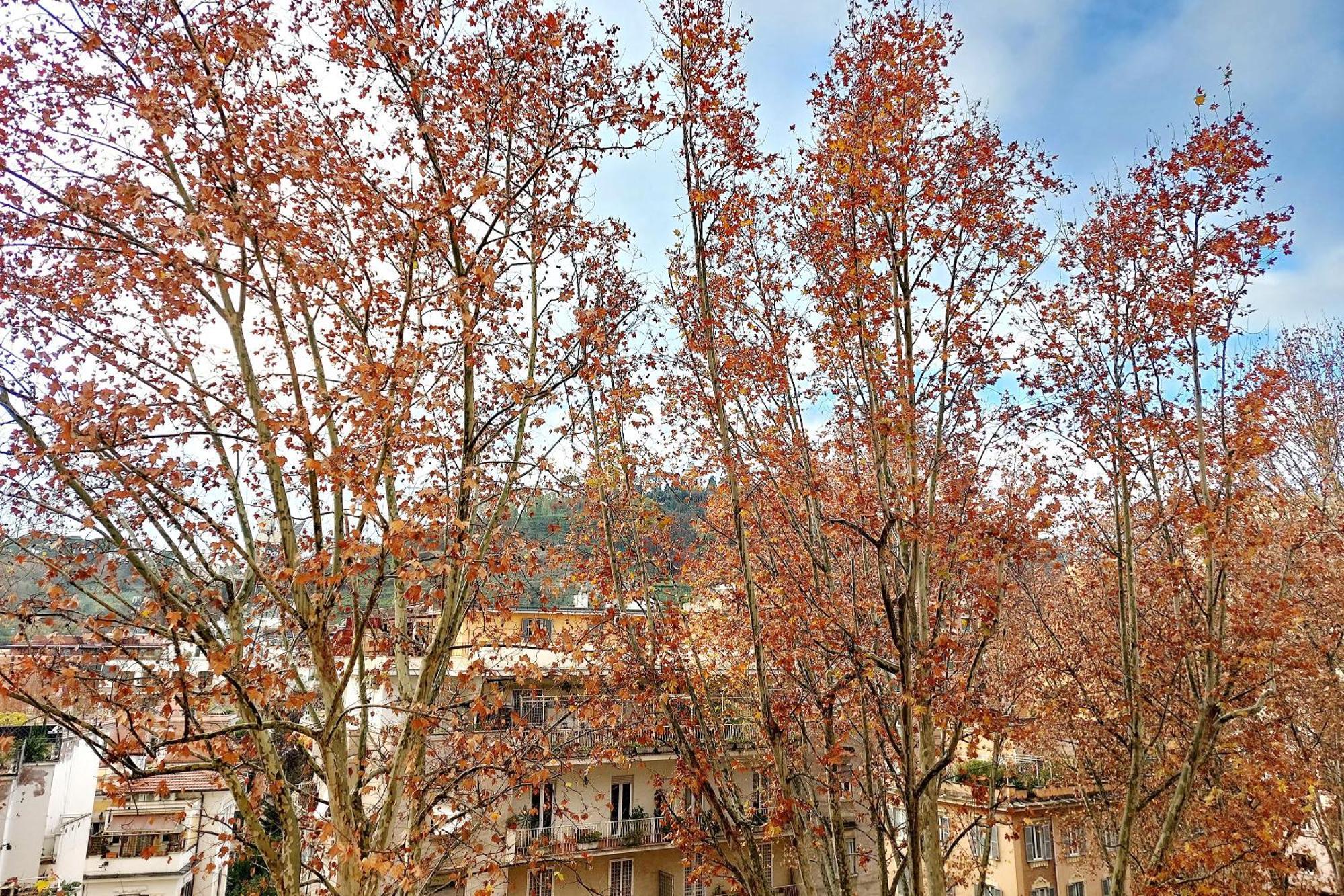 Apartamento Casa Giannetta