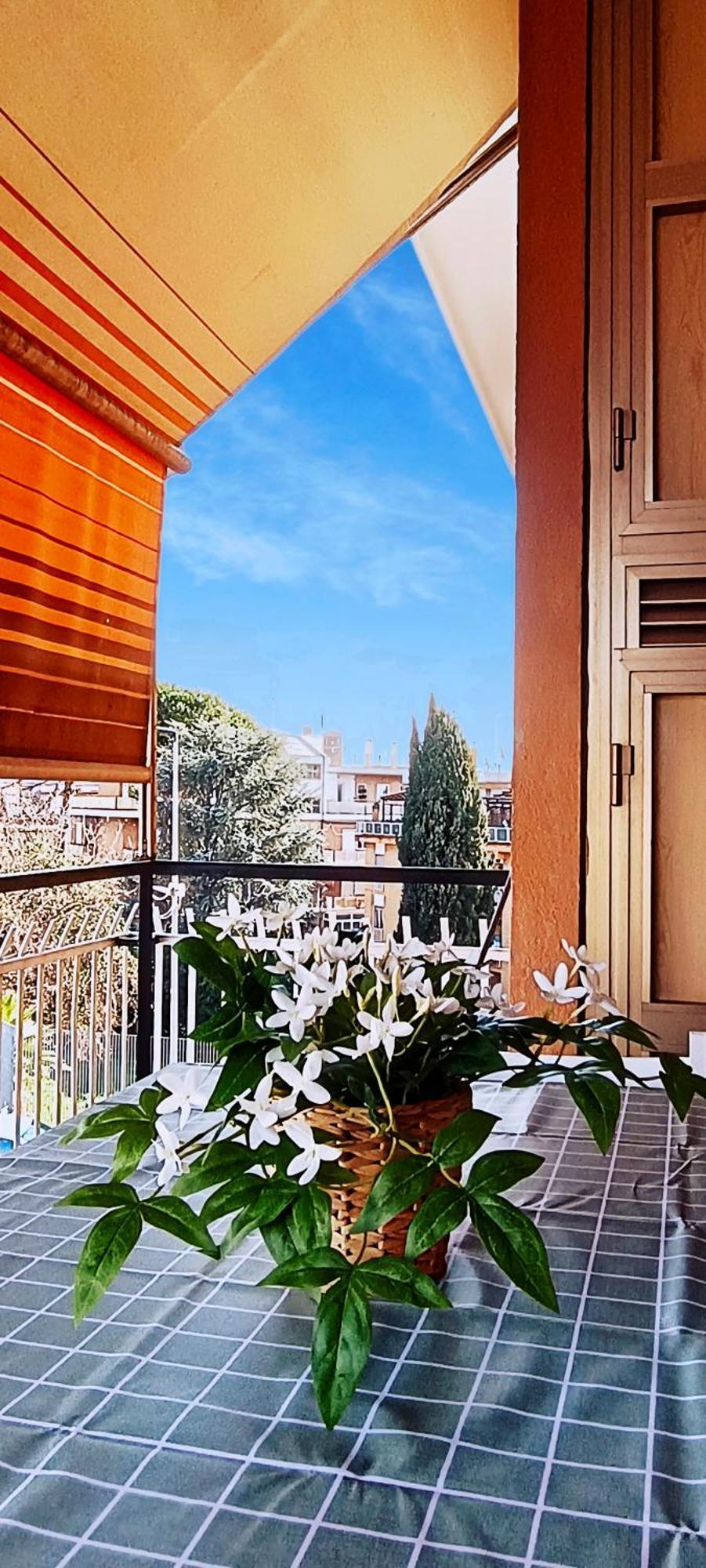 Apartamento Nico's *
