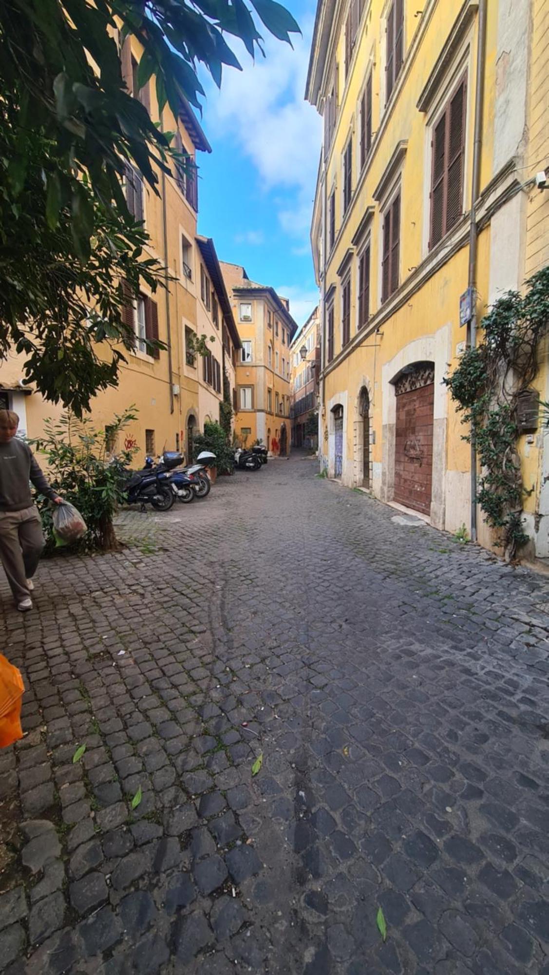 Apartment New Trastevere *