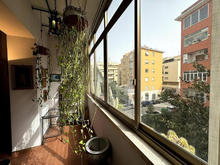 Mancinelli Art Apartamento *