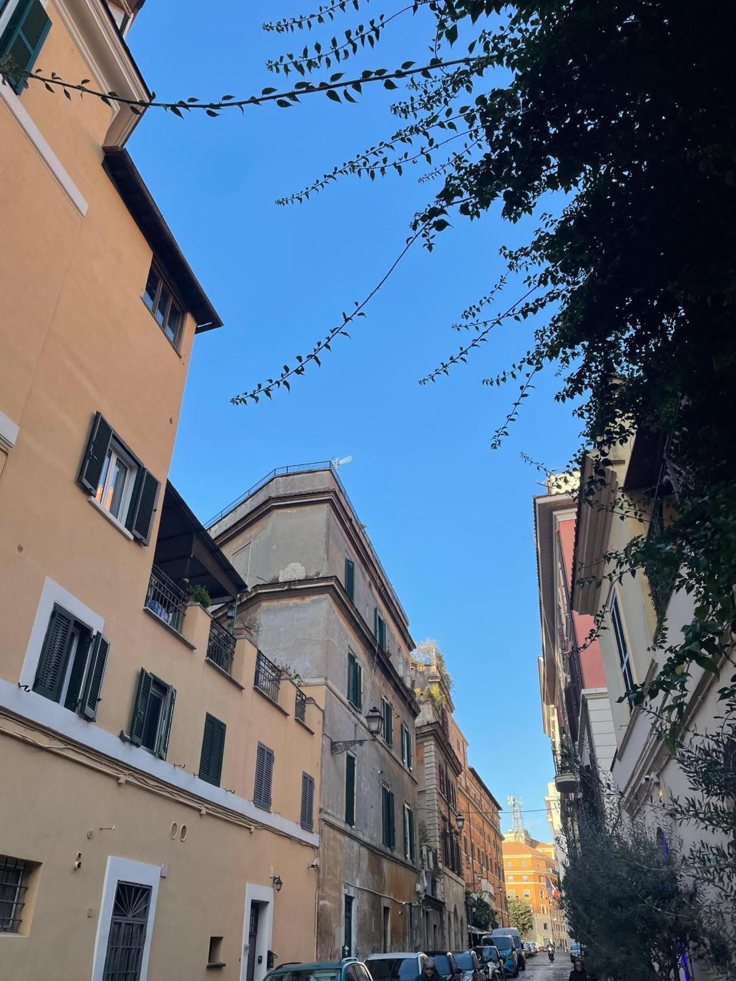 Gjestgiverier Flatinrome In Trastevere