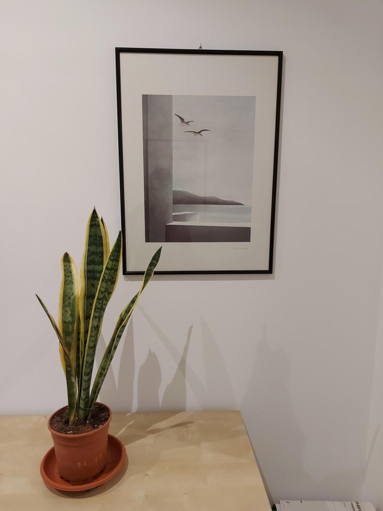 Apartamento Da Ale House Roma