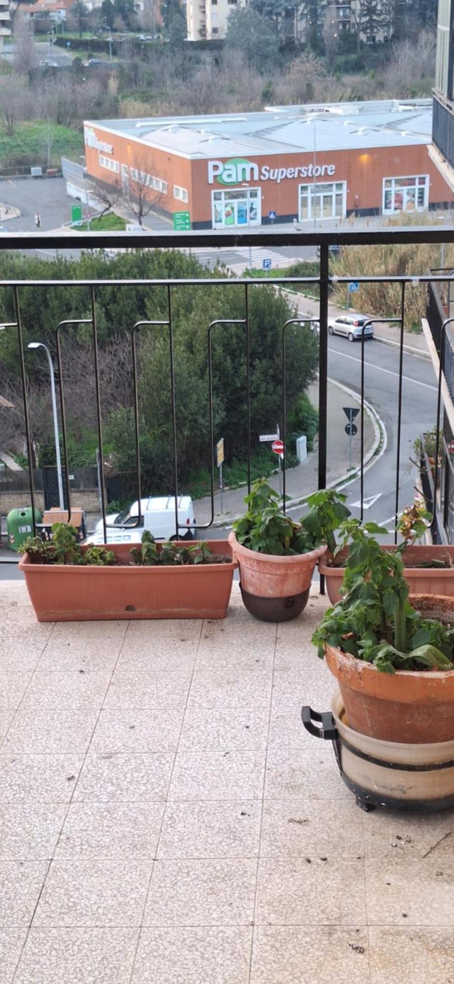 Gargallo * Rome