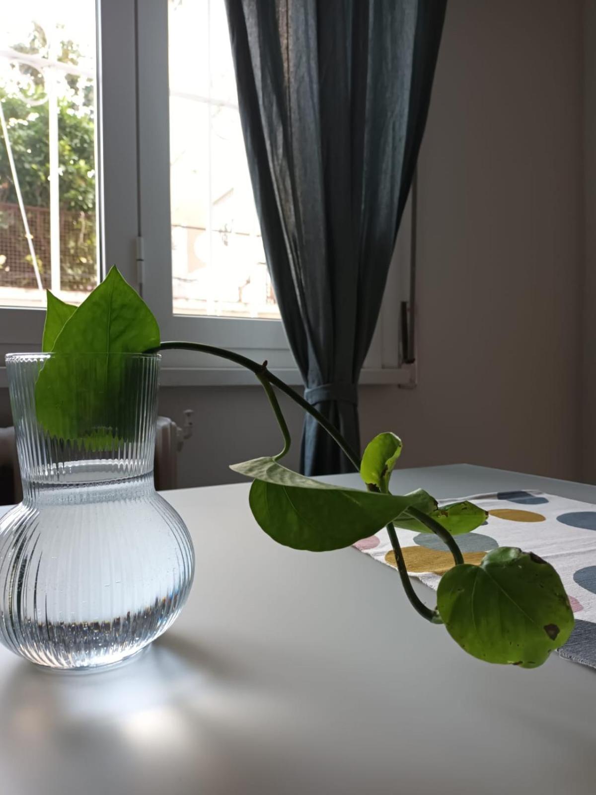 Apartamento Casa Di Mia Roma