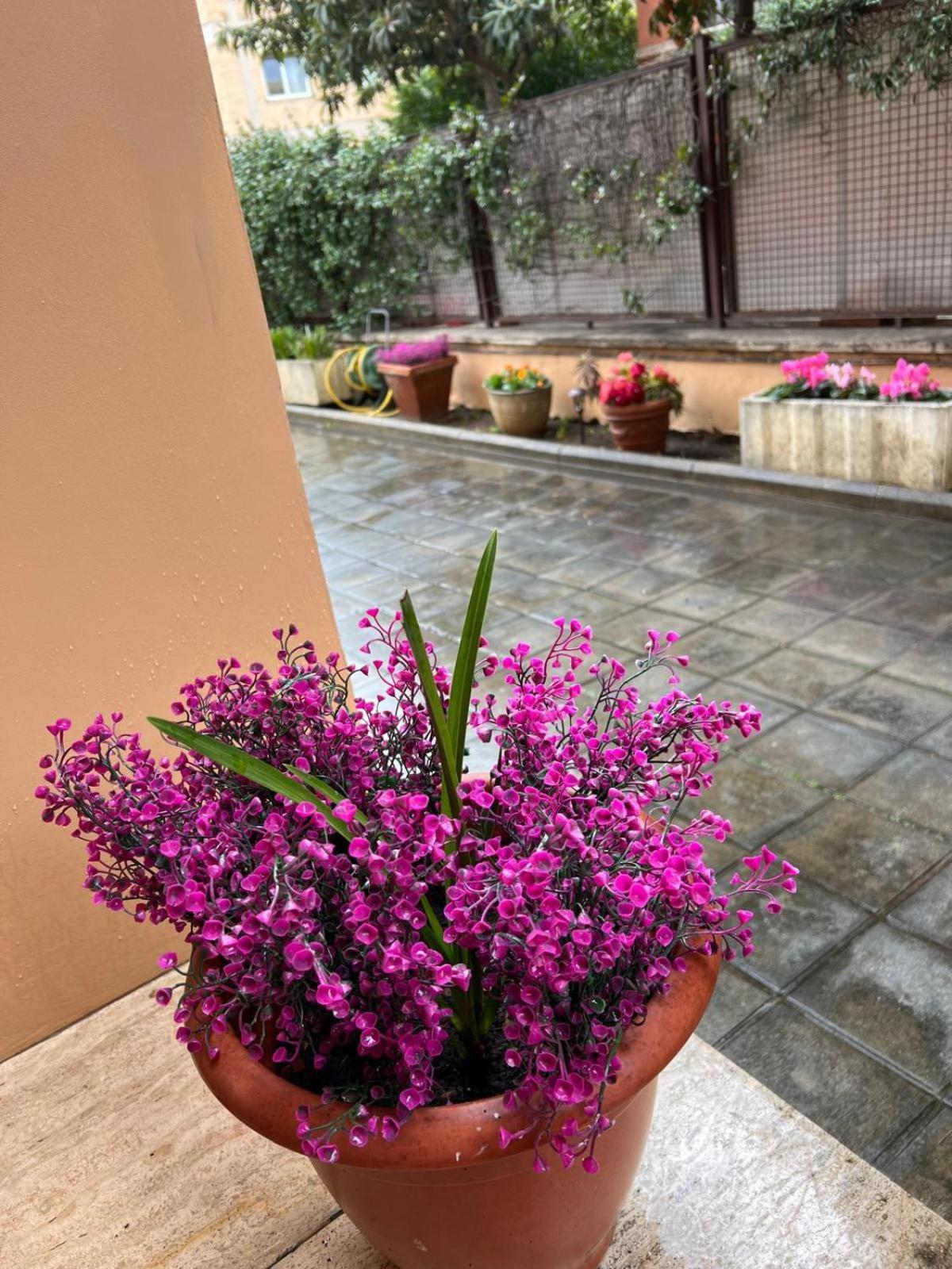 Dei Fiori Roma