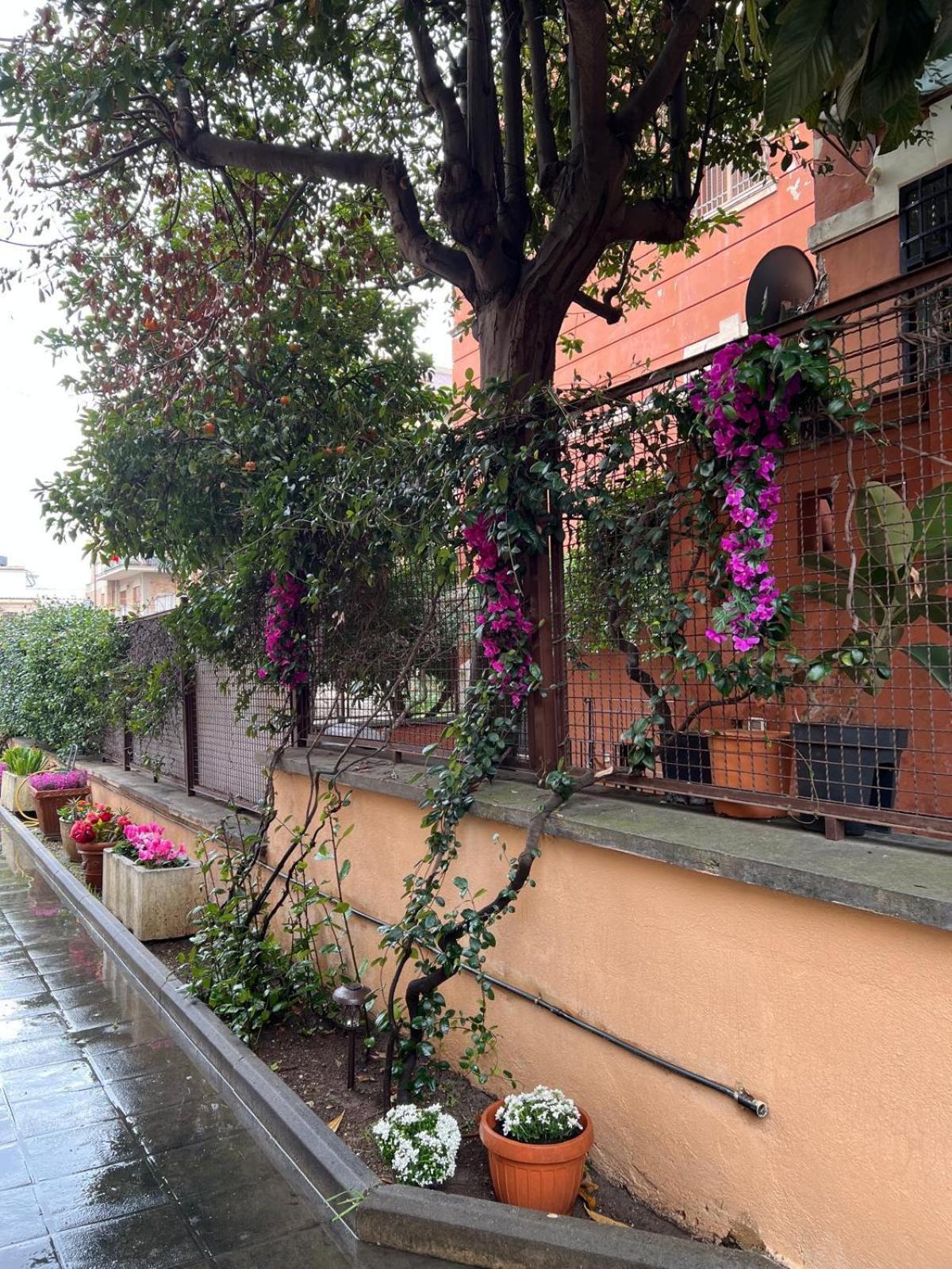 Dei Fiori * Roma