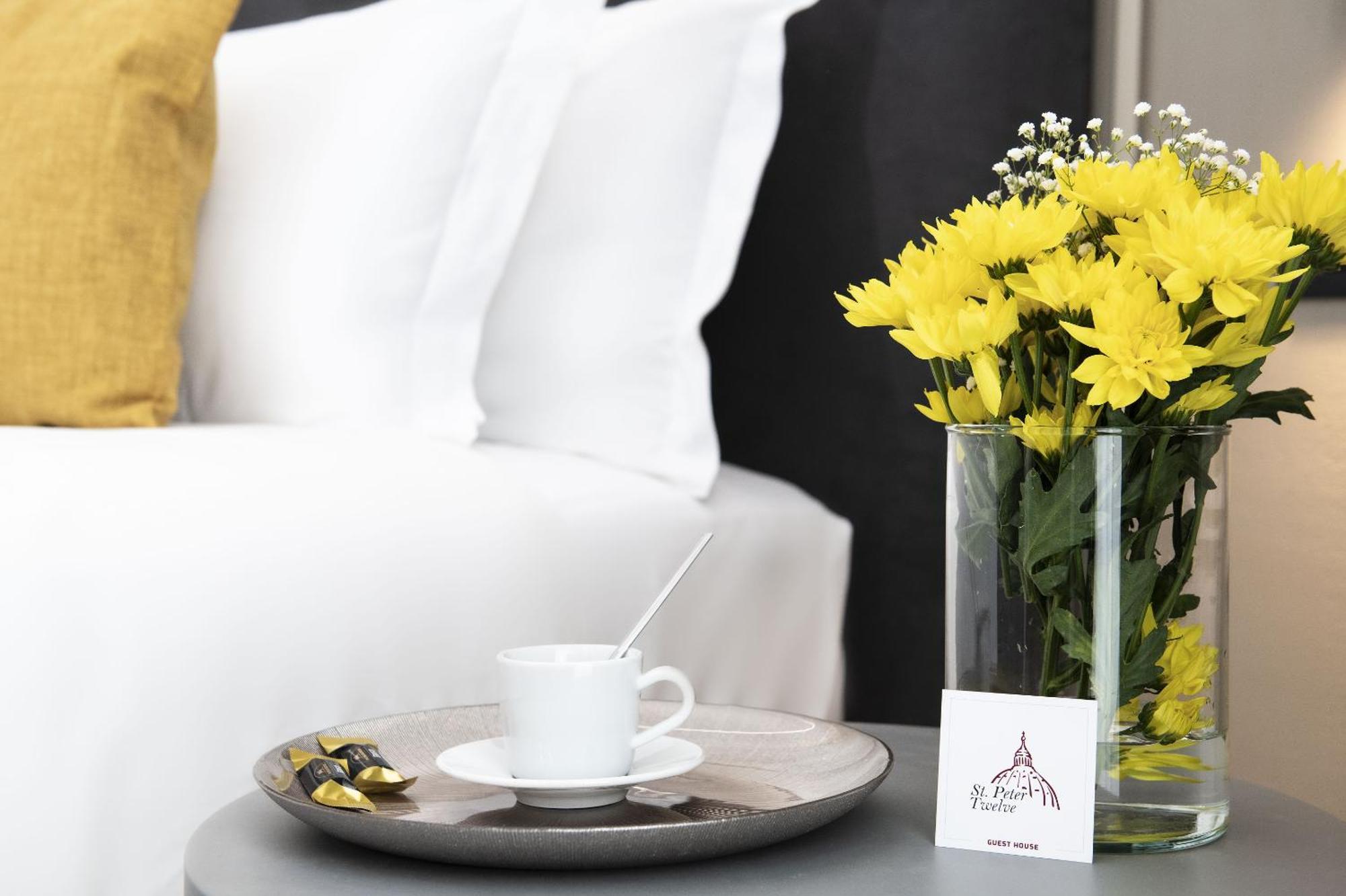 St Peter Twelve Bed & Breakfast Roma