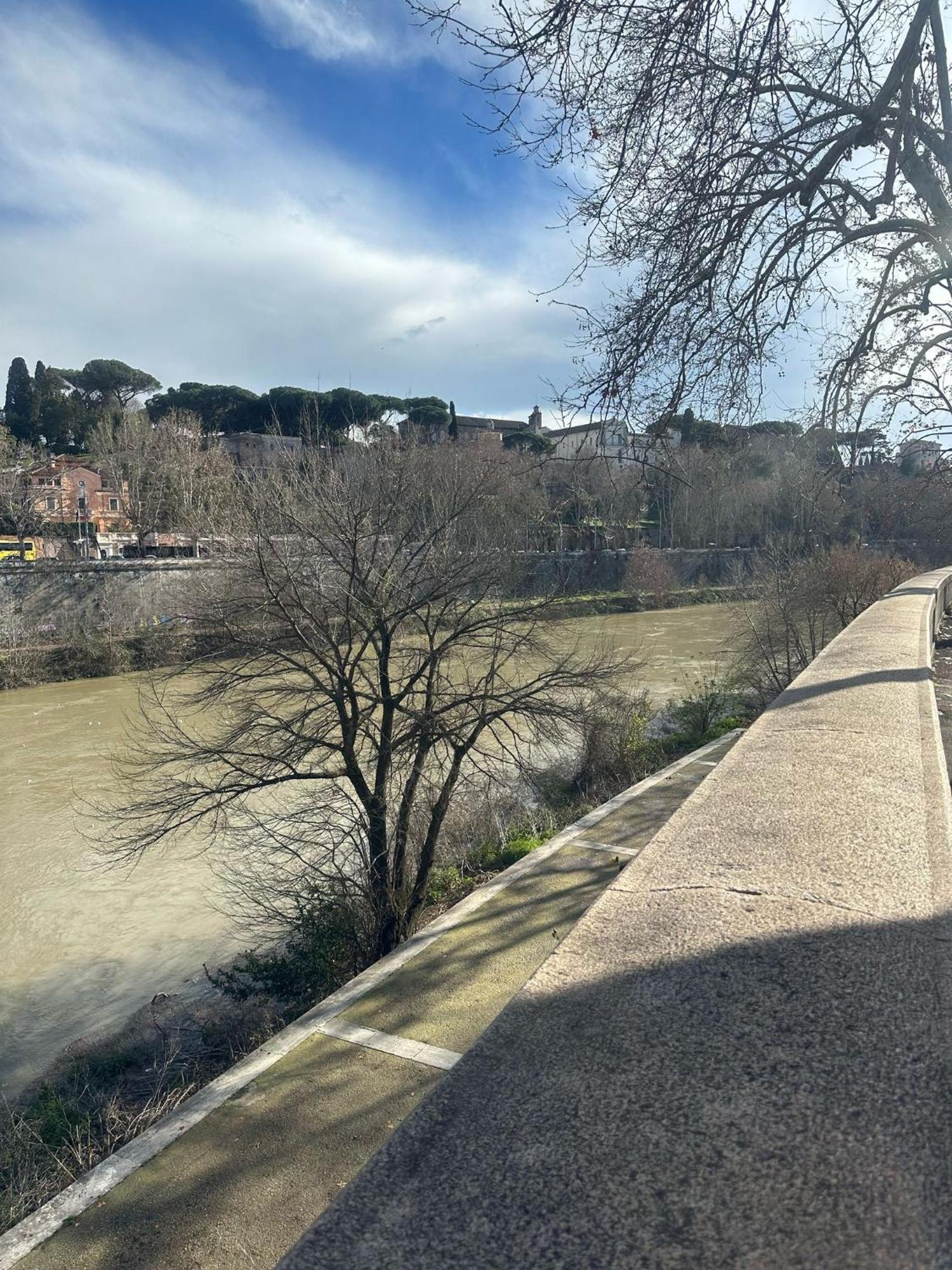Appartamento Trastevere Rome's Heart Charming & Cozy 3