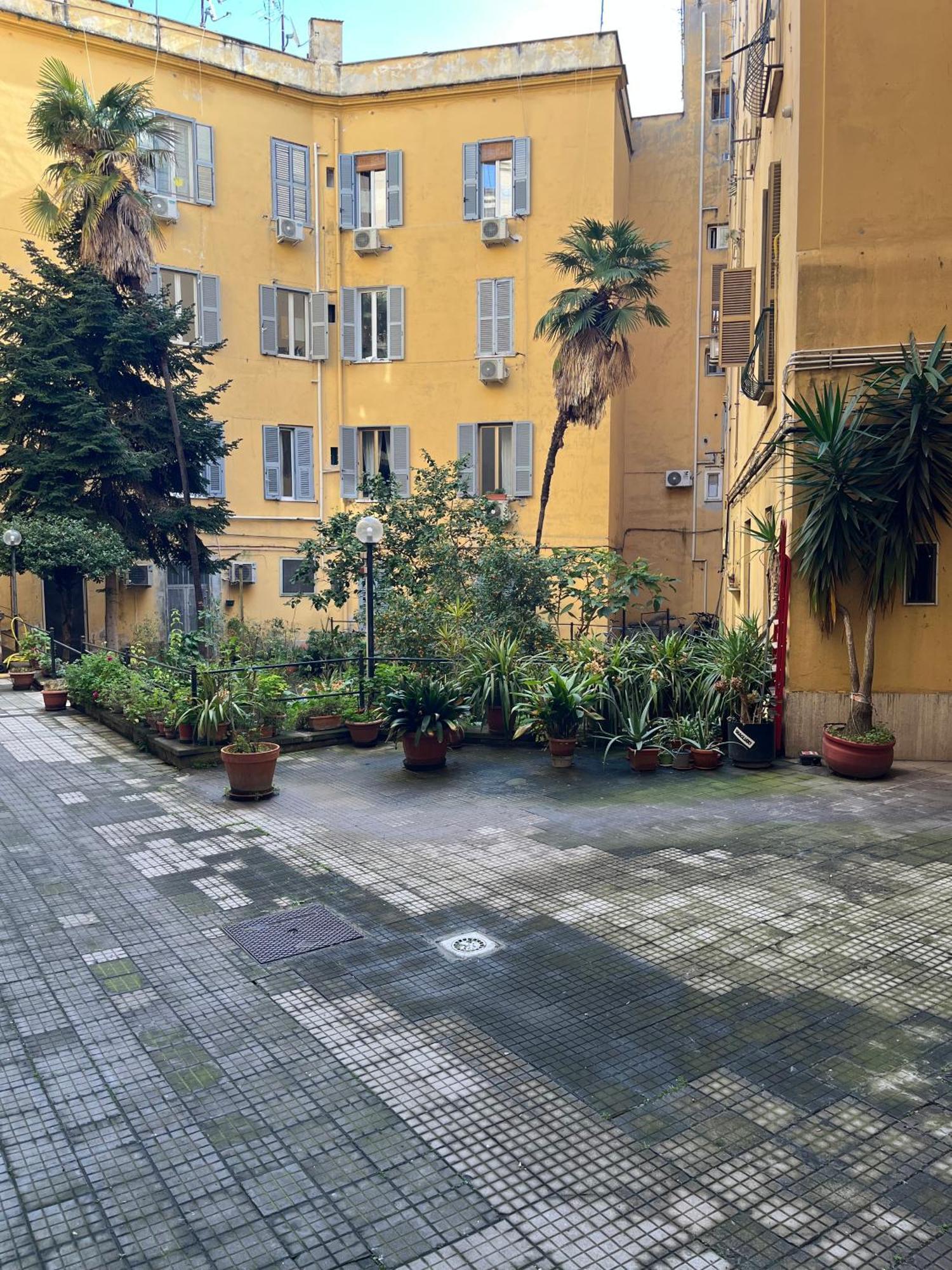 Kimera42 * Roma