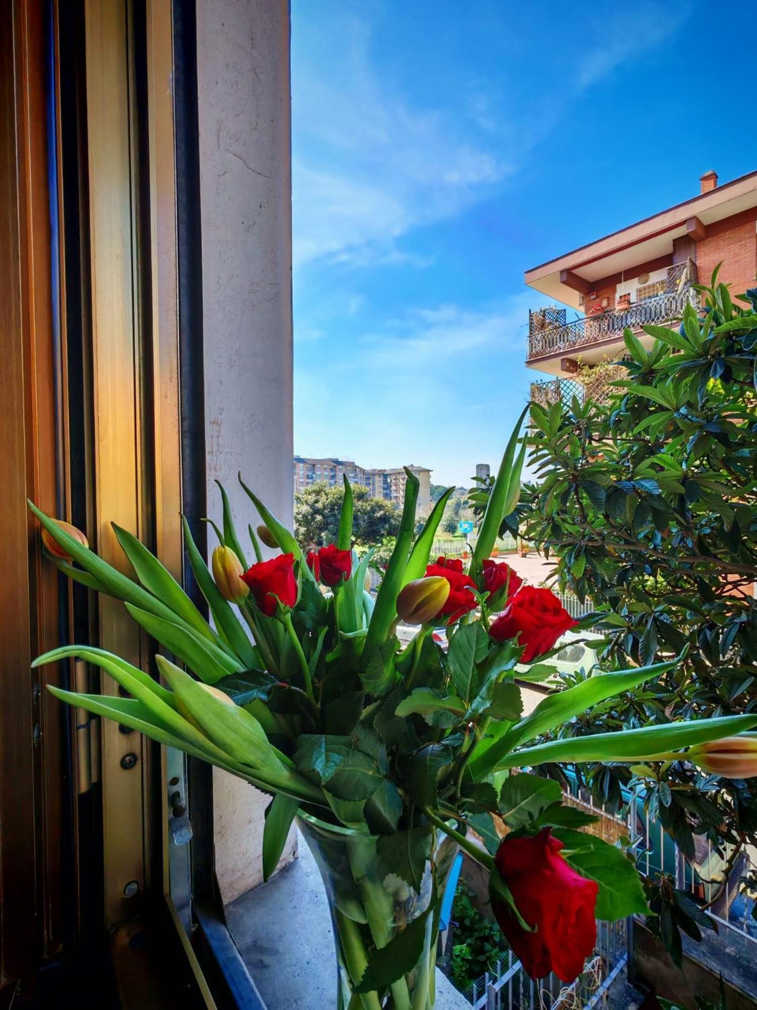 Apartamento Casa Con Idromassaggio Metro C Alessandrino - San Giovanni E Trenino Laziali-termini -betti House