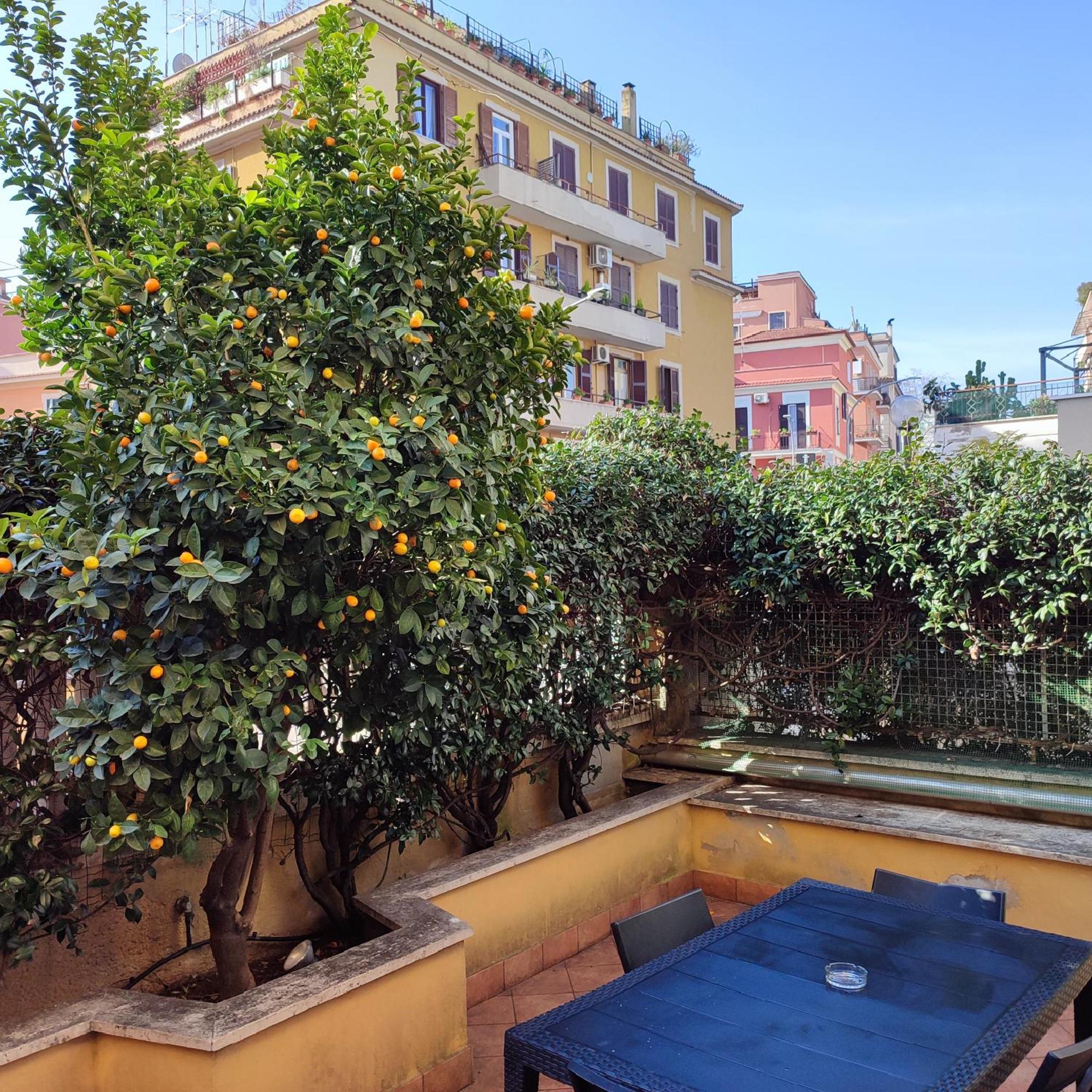 Casa Cartoni