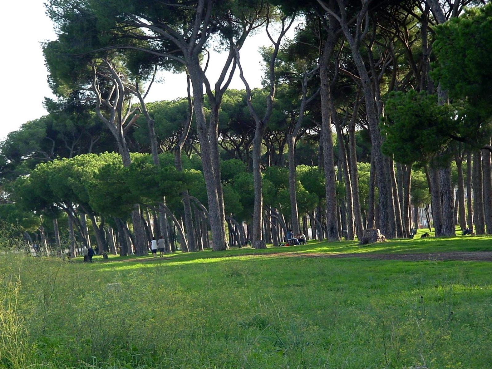 Apartment Nearpineta
