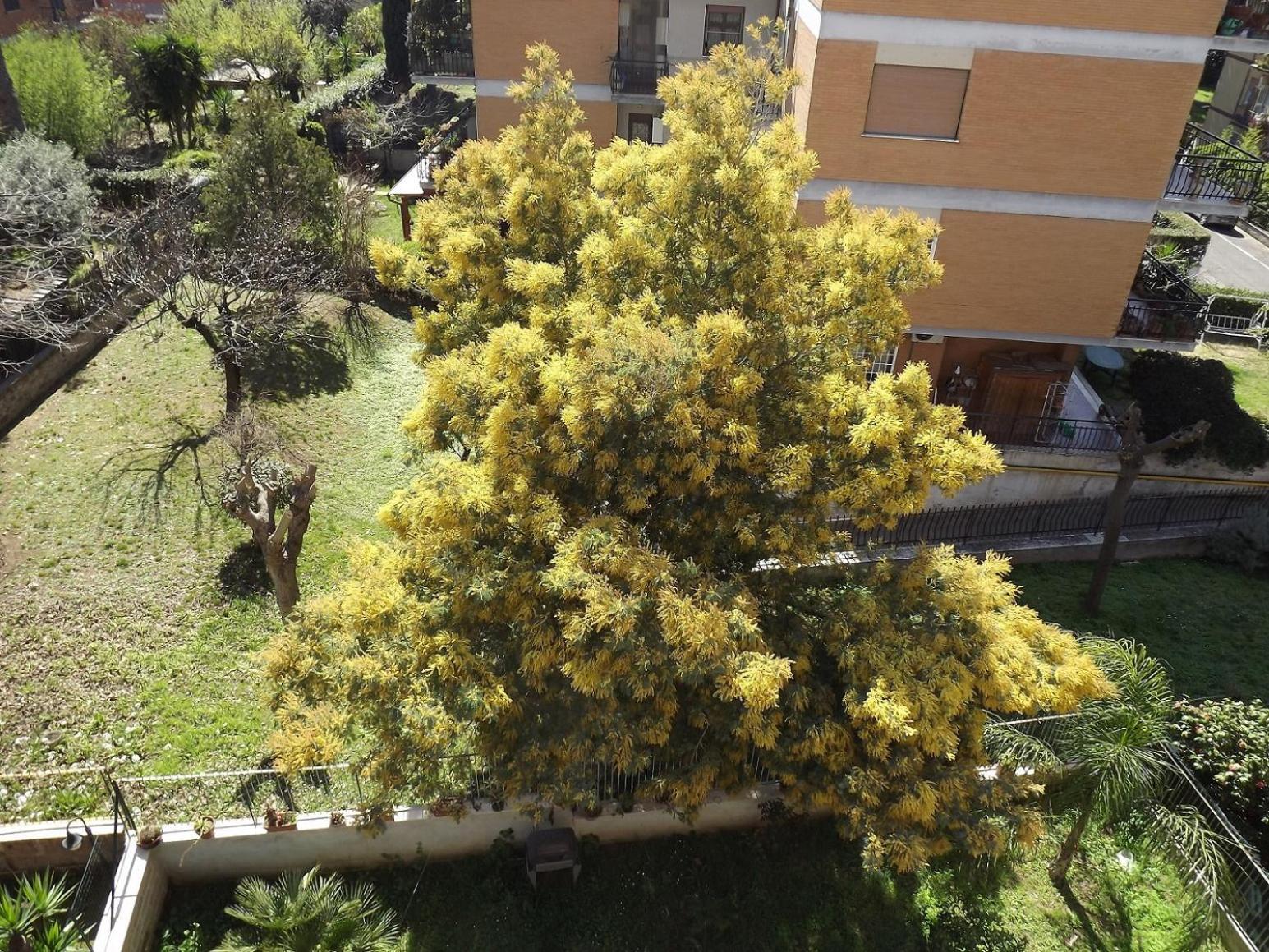 Gilda Vacanze Metro Battistini Apartamento