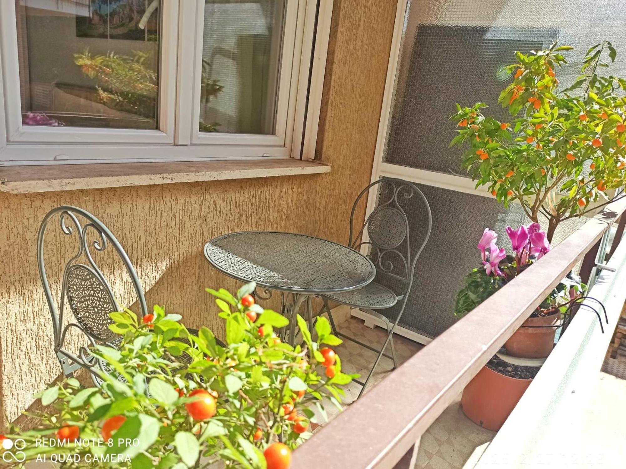 Have A In Apartamento Roma