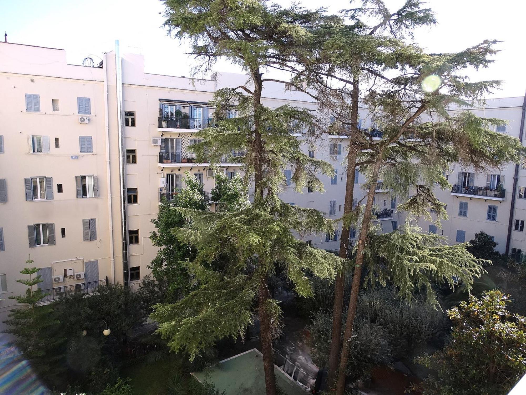 Domus Dino Apartment Rome
