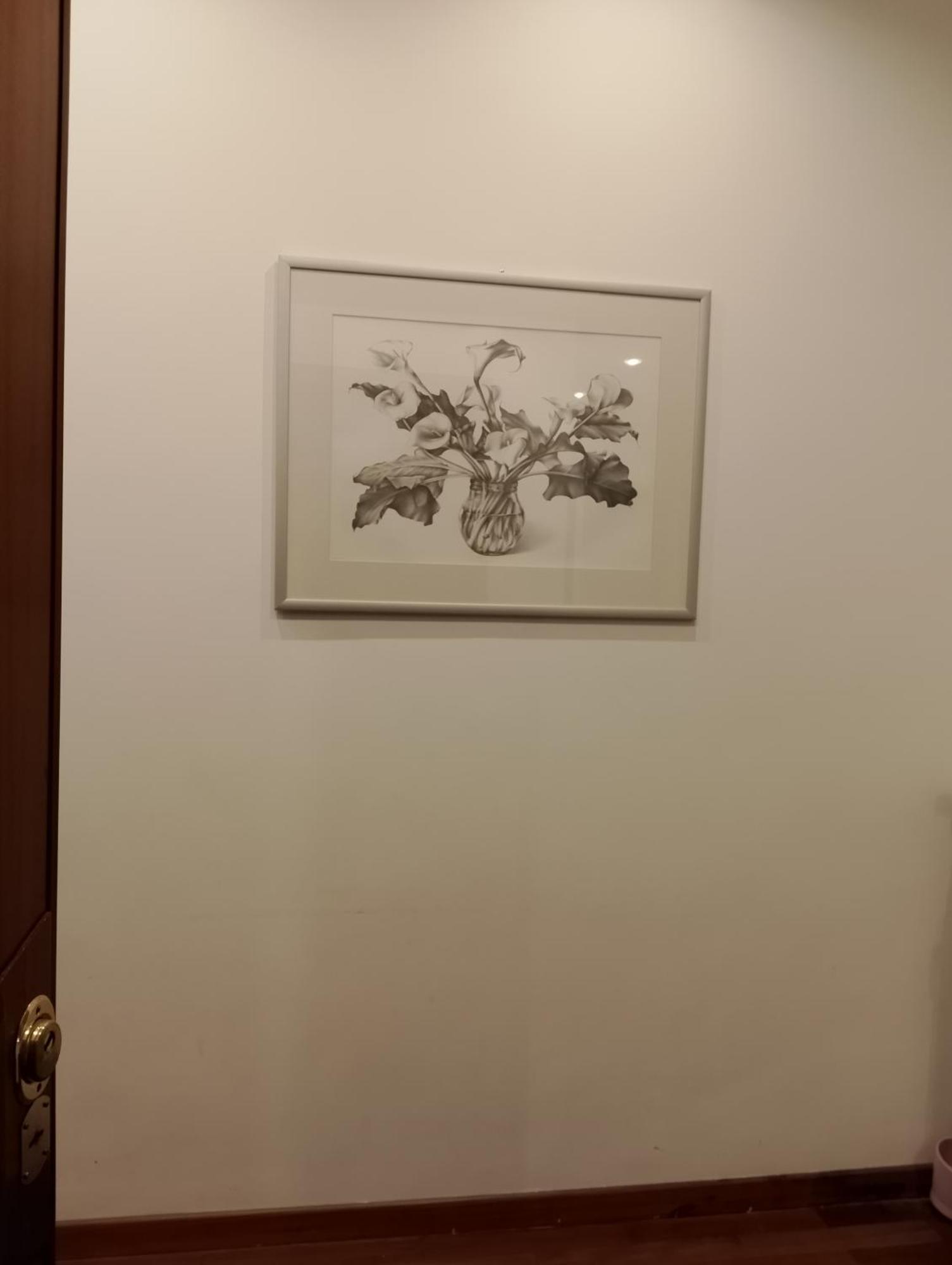 Casa 12 *