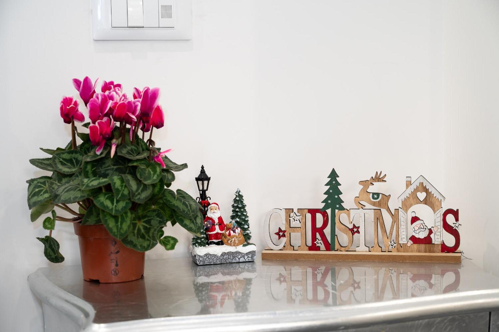 Appartamento St. Peter Boutique Roma