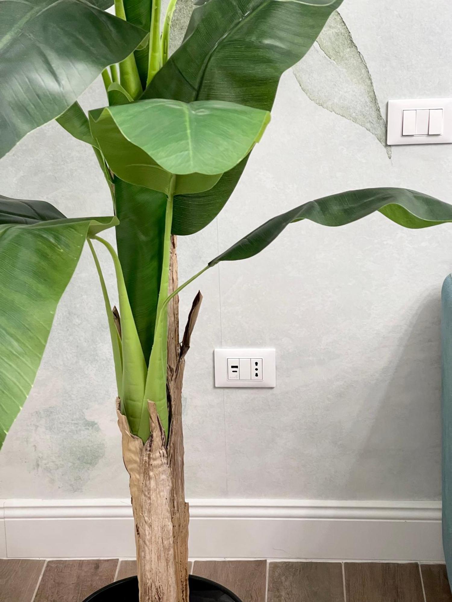 Avocado House - Cozy In The Heart Of Apartamento Roma