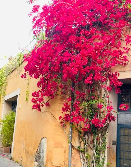 Casa Titti A Trastevere Casa vacanze