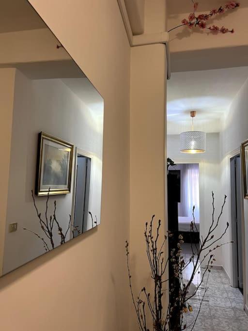 Apartment Candelor's House - & Garden In Gianicolense Rome