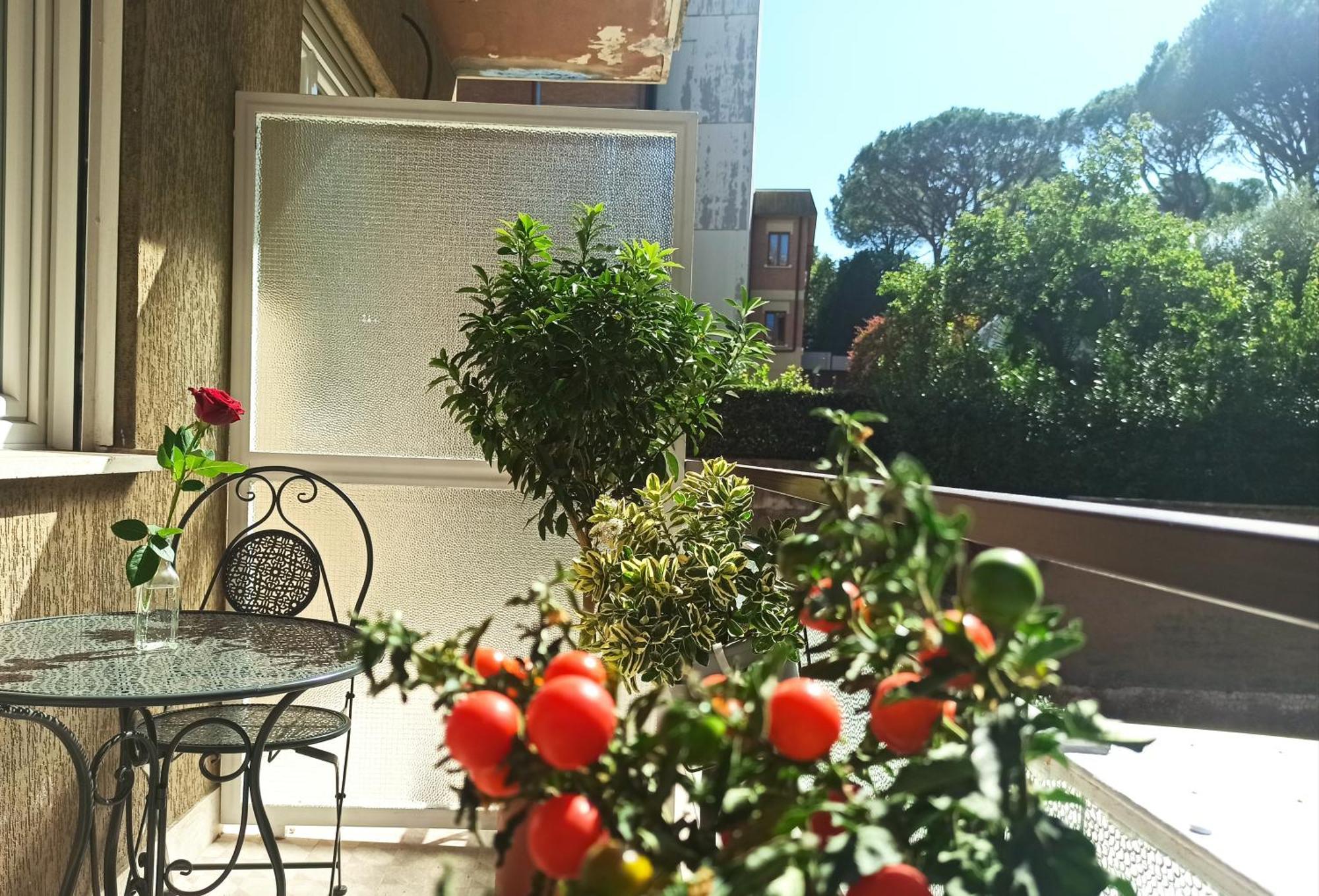 Have A In Roma