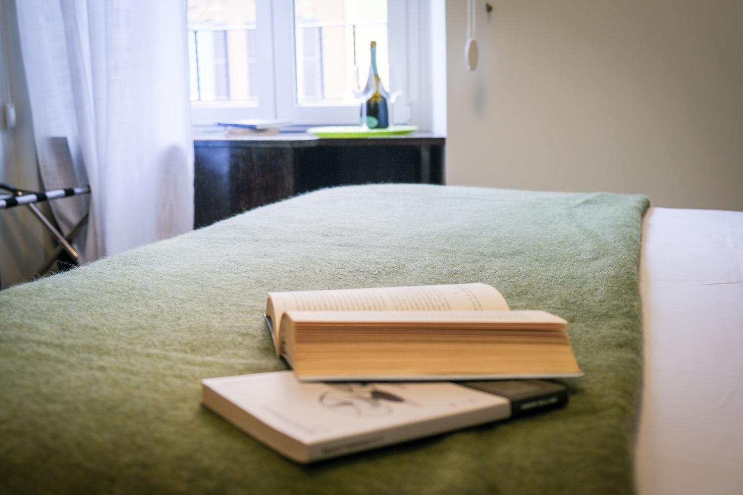 Guest house Mocenigo Vatican 2*