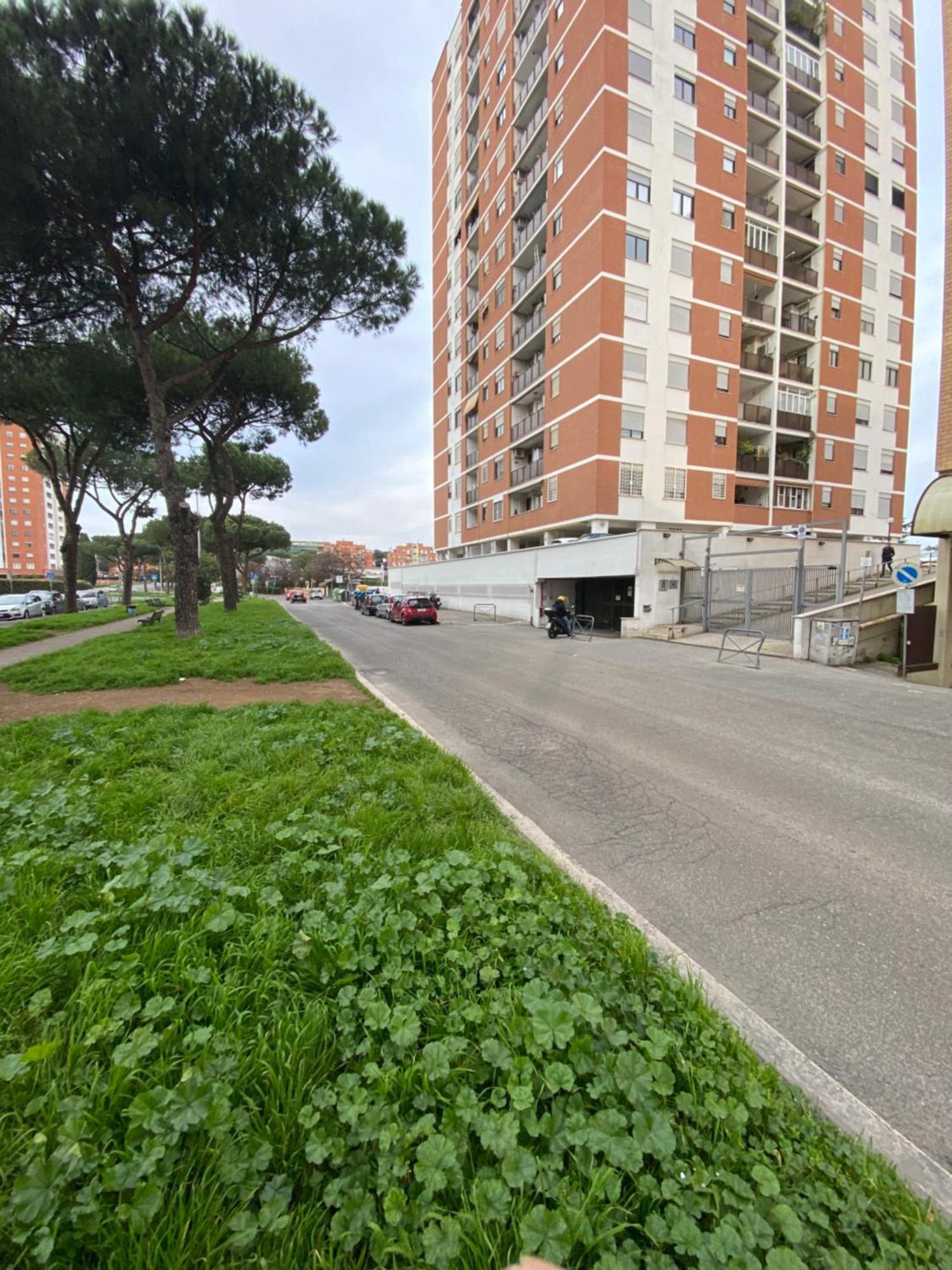 Appartamento Spacious In Rome!