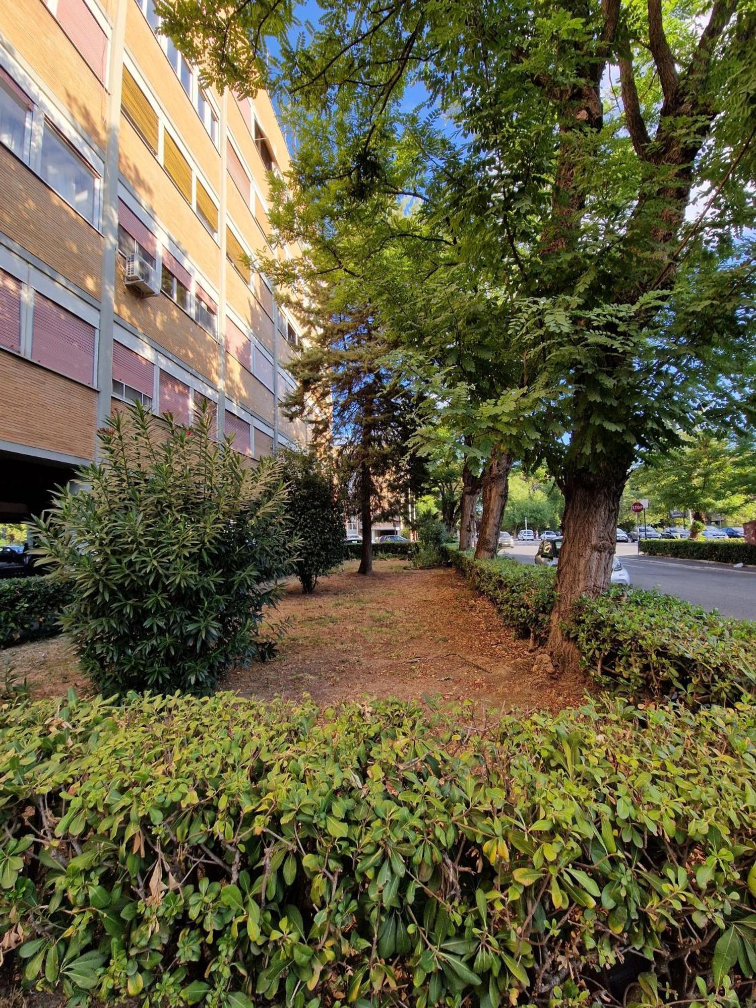 Apartment La Casetta Del Villaggio - Cozy In Flaminio Rome