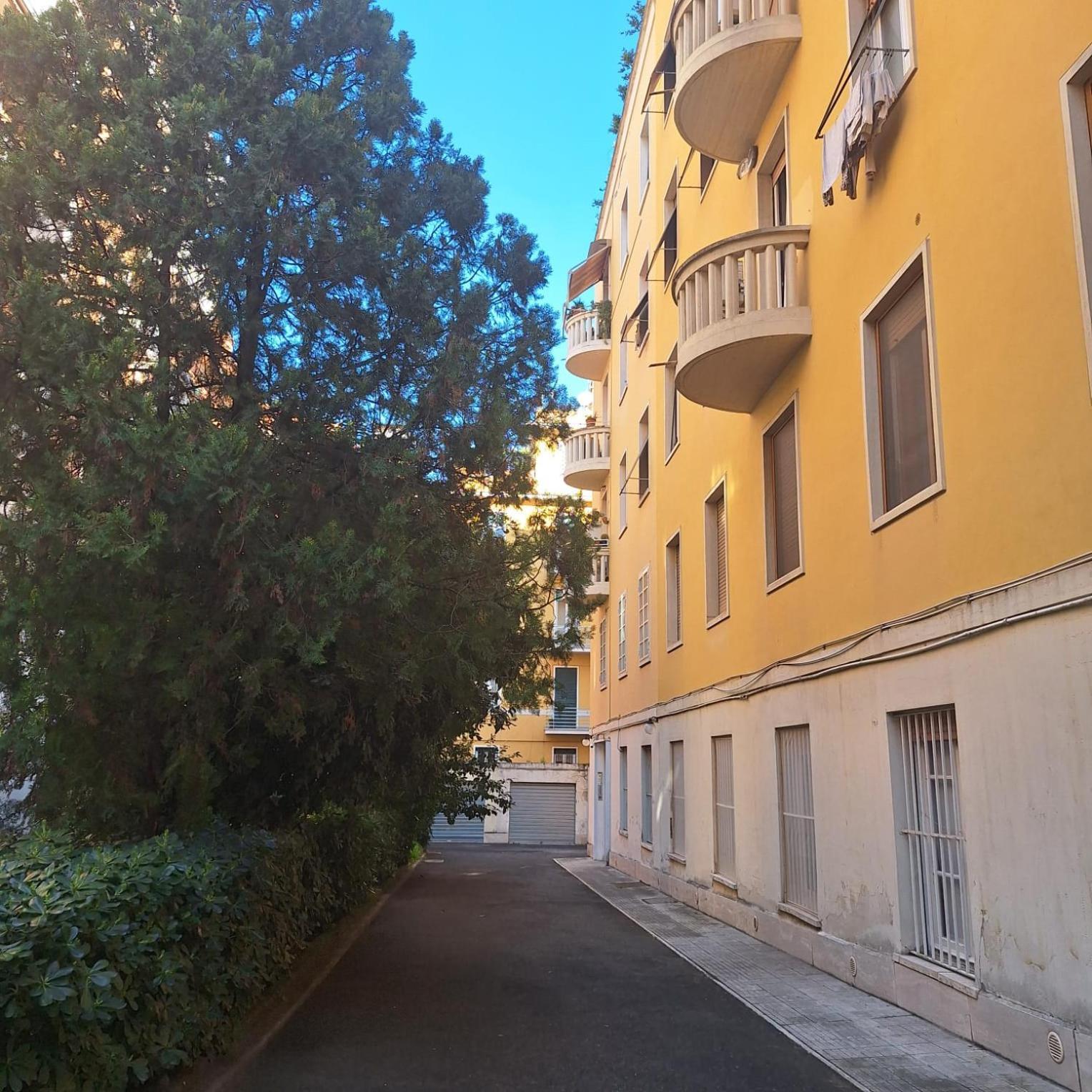 Art Fiorelli Roma