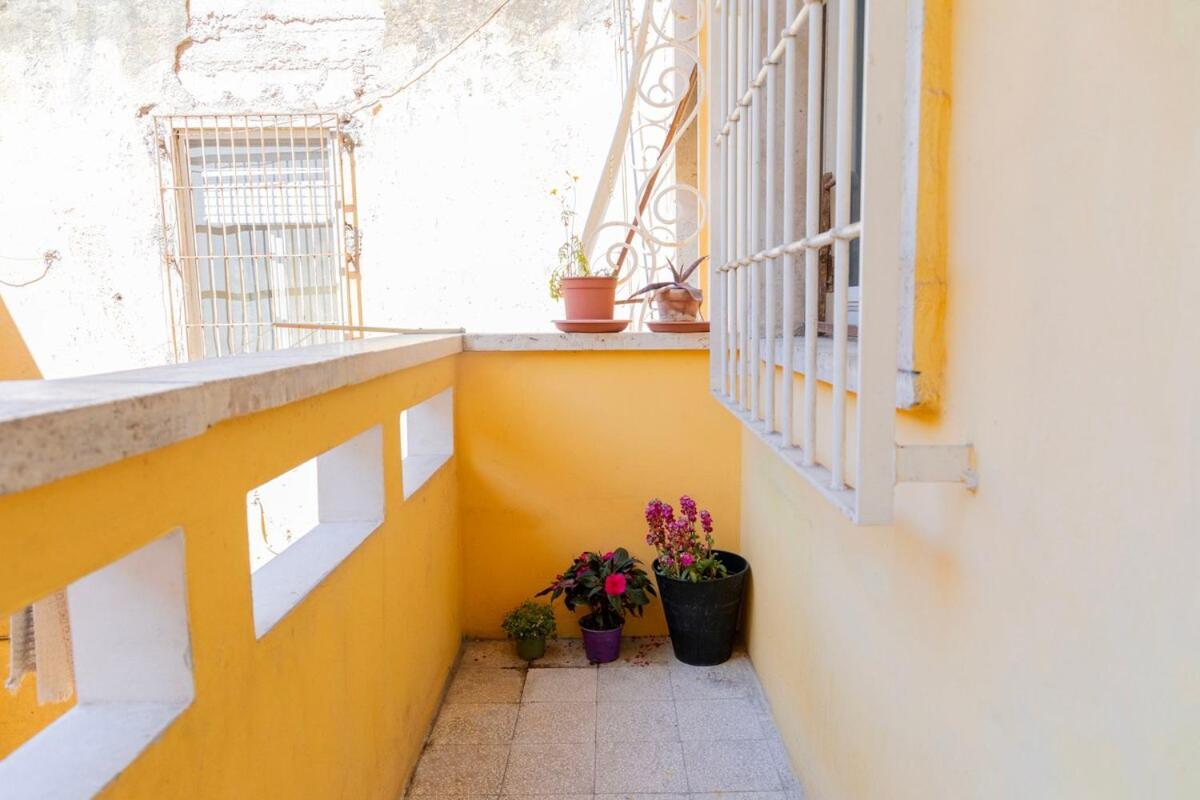 Apartamento Vatican-cipro Spacious With A Balcony